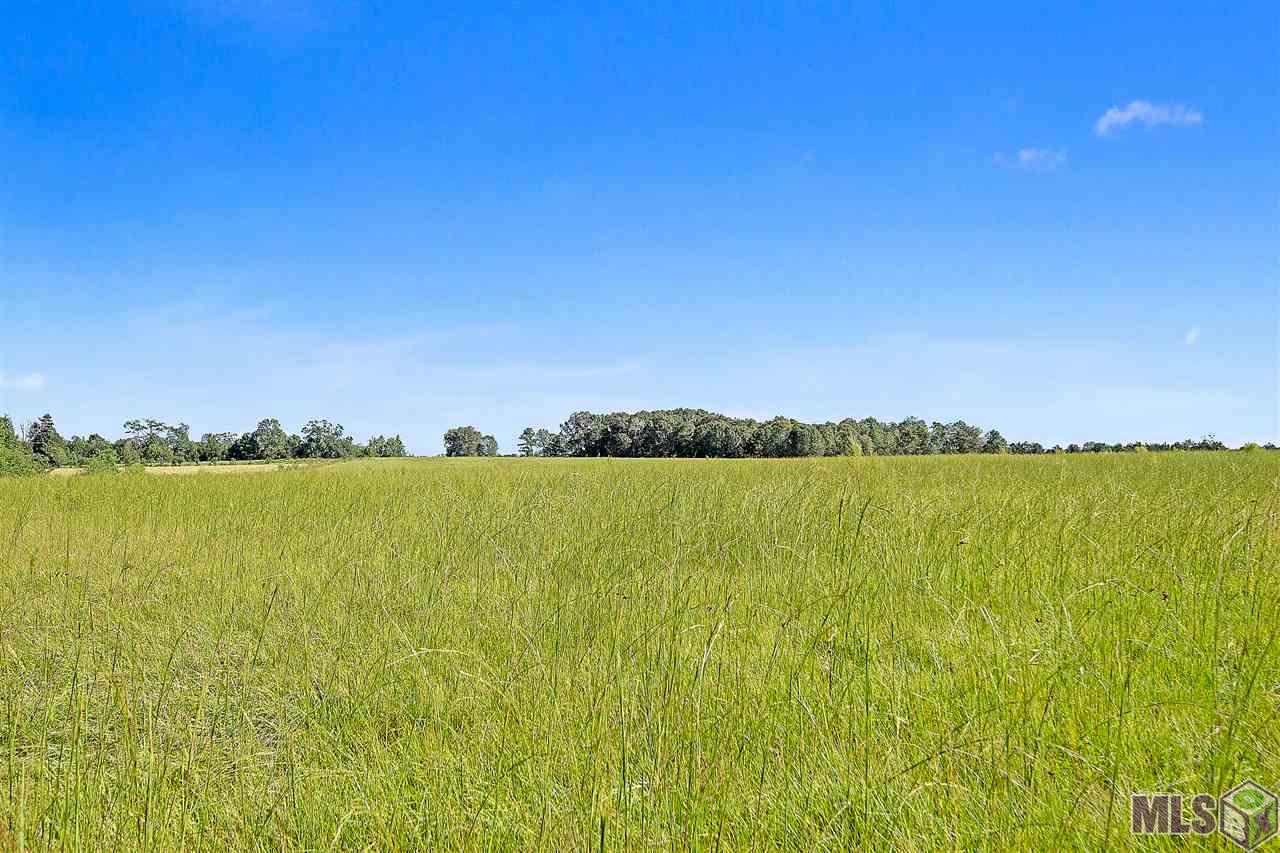12797 Gross Road Clinton, LA 70722 - Photo 9 of 16