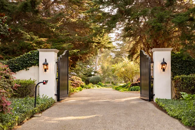a sign board with tree in front of it