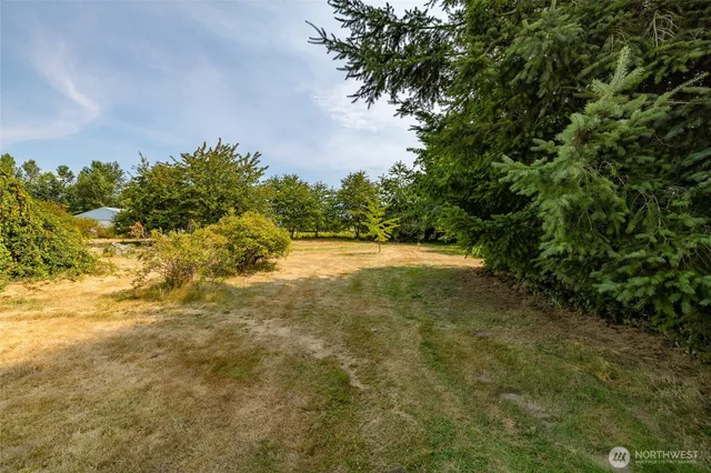 a view of a yard with trees and a building