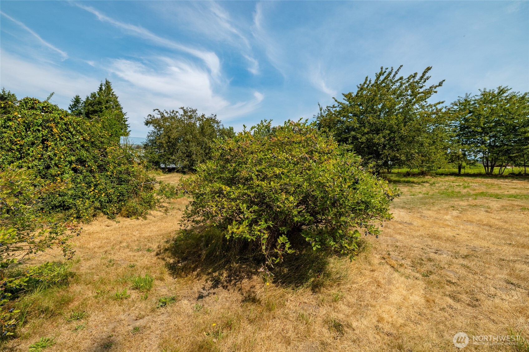 22563 Rhodes Road Sedro-Woolley, WA 98284 - Photo 5 of 10