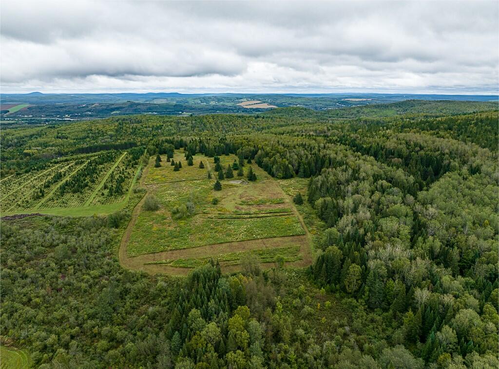 23 Map Road Grand Isle, ME 04746 - Photo 48 of 50 CLR_Lot23_5_Grivois_GI-9_fullres