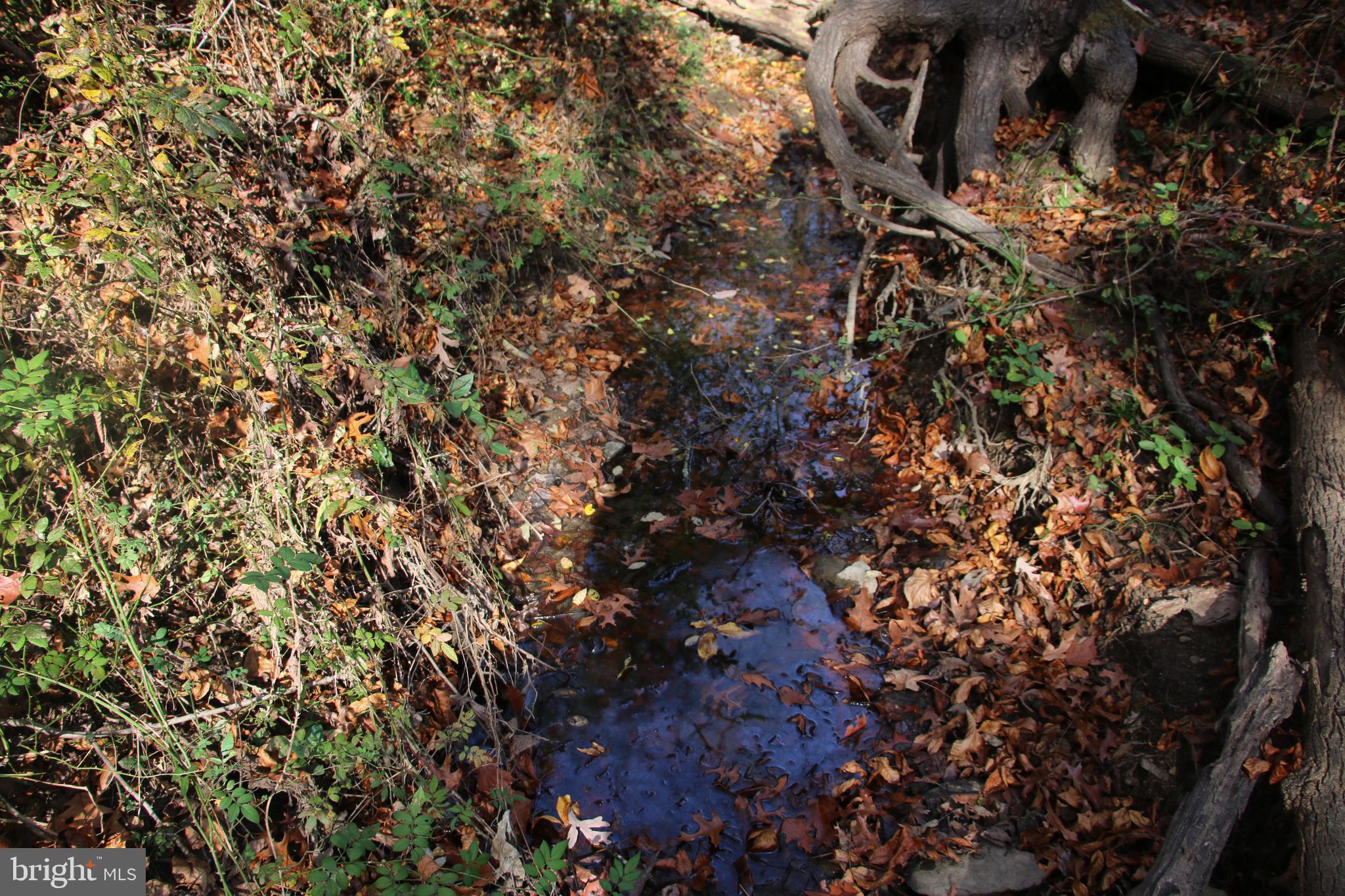 39 D Drive Front Royal, VA 22630 - Photo 12 of 70