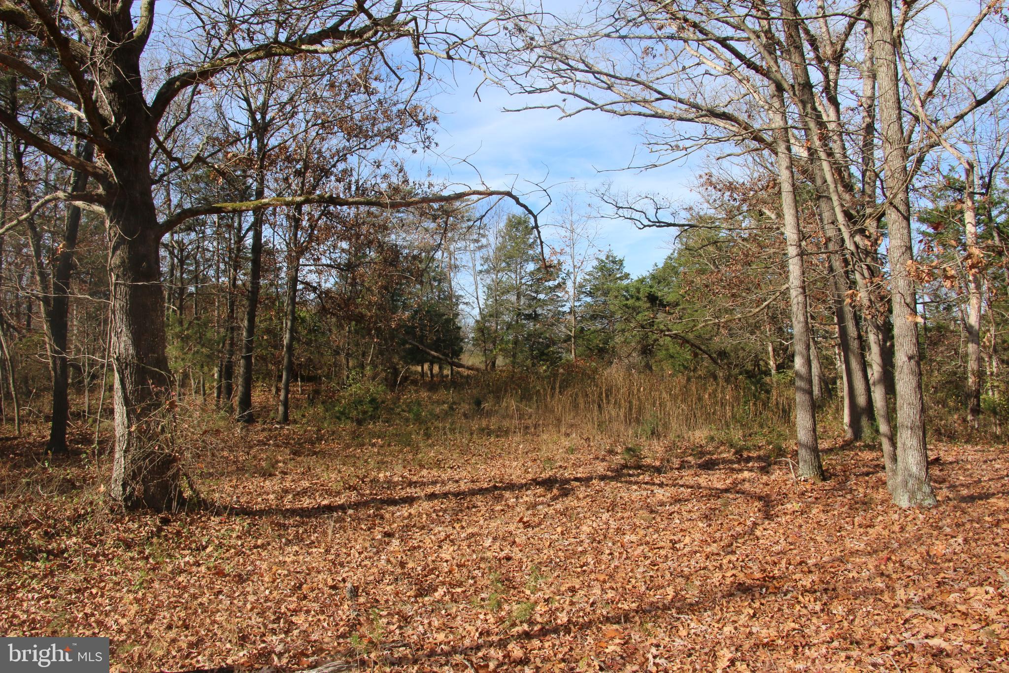 39 D Drive Front Royal, VA 22630 - Photo 13 of 70