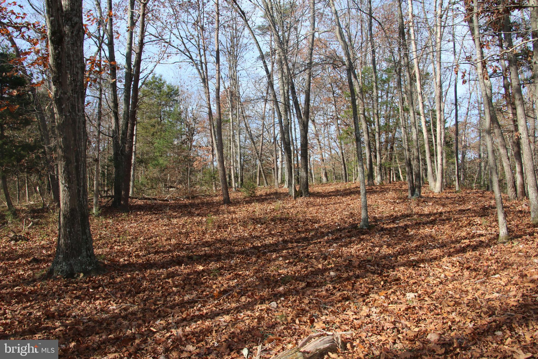 39 D Drive Front Royal, VA 22630 - Photo 14 of 70