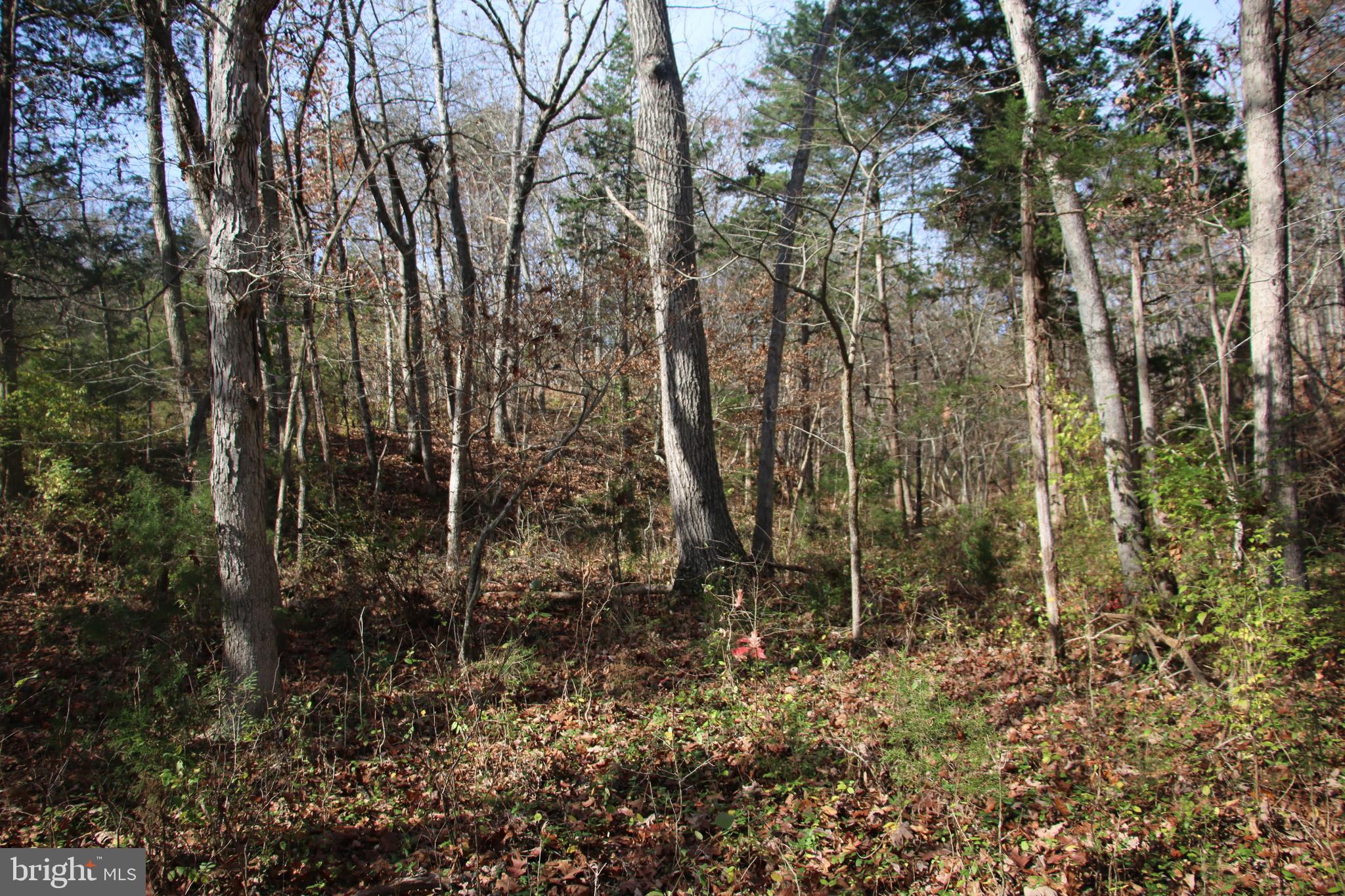 39 D Drive Front Royal, VA 22630 - Photo 15 of 70