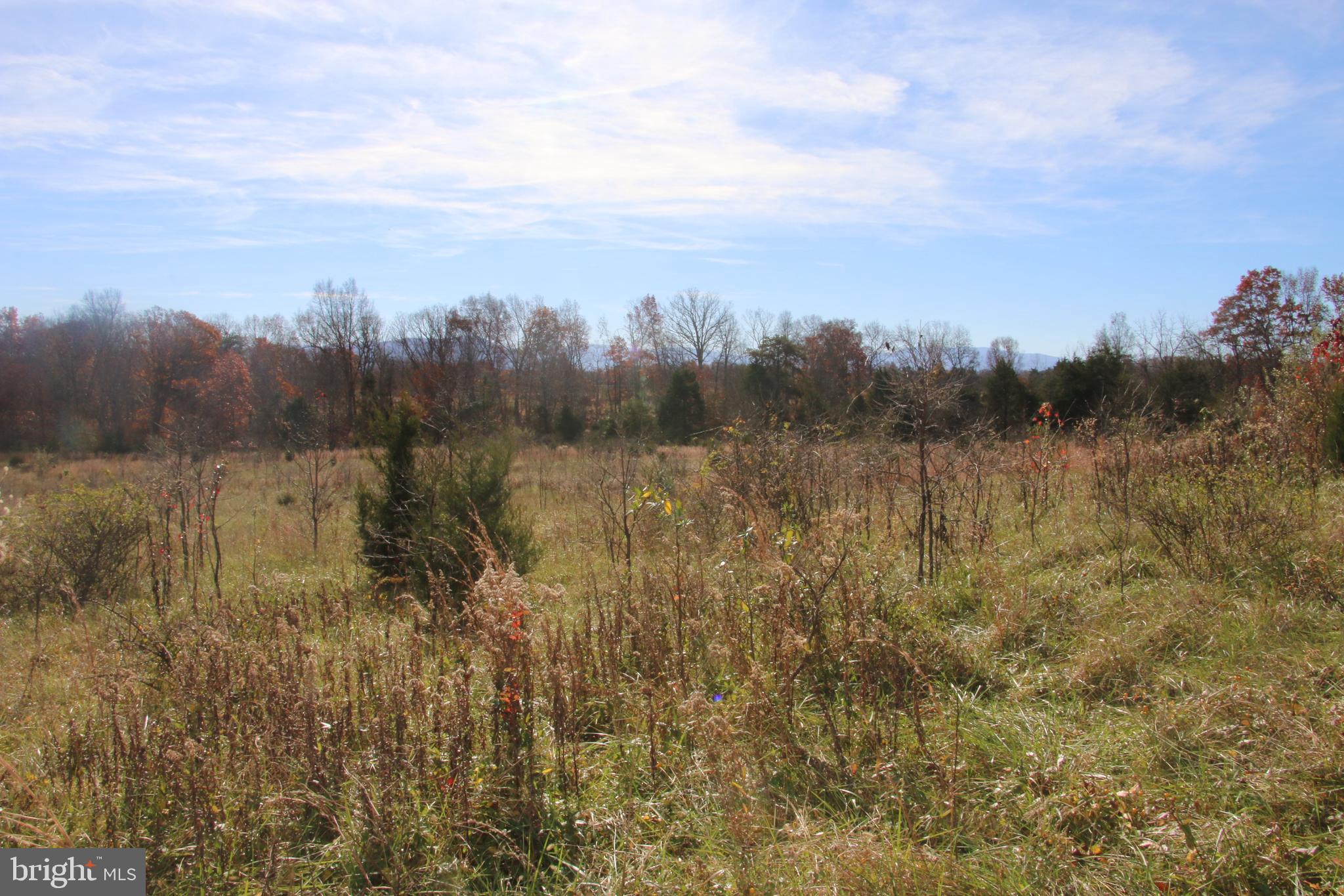 39 D Drive Front Royal, VA 22630 - Photo 17 of 70