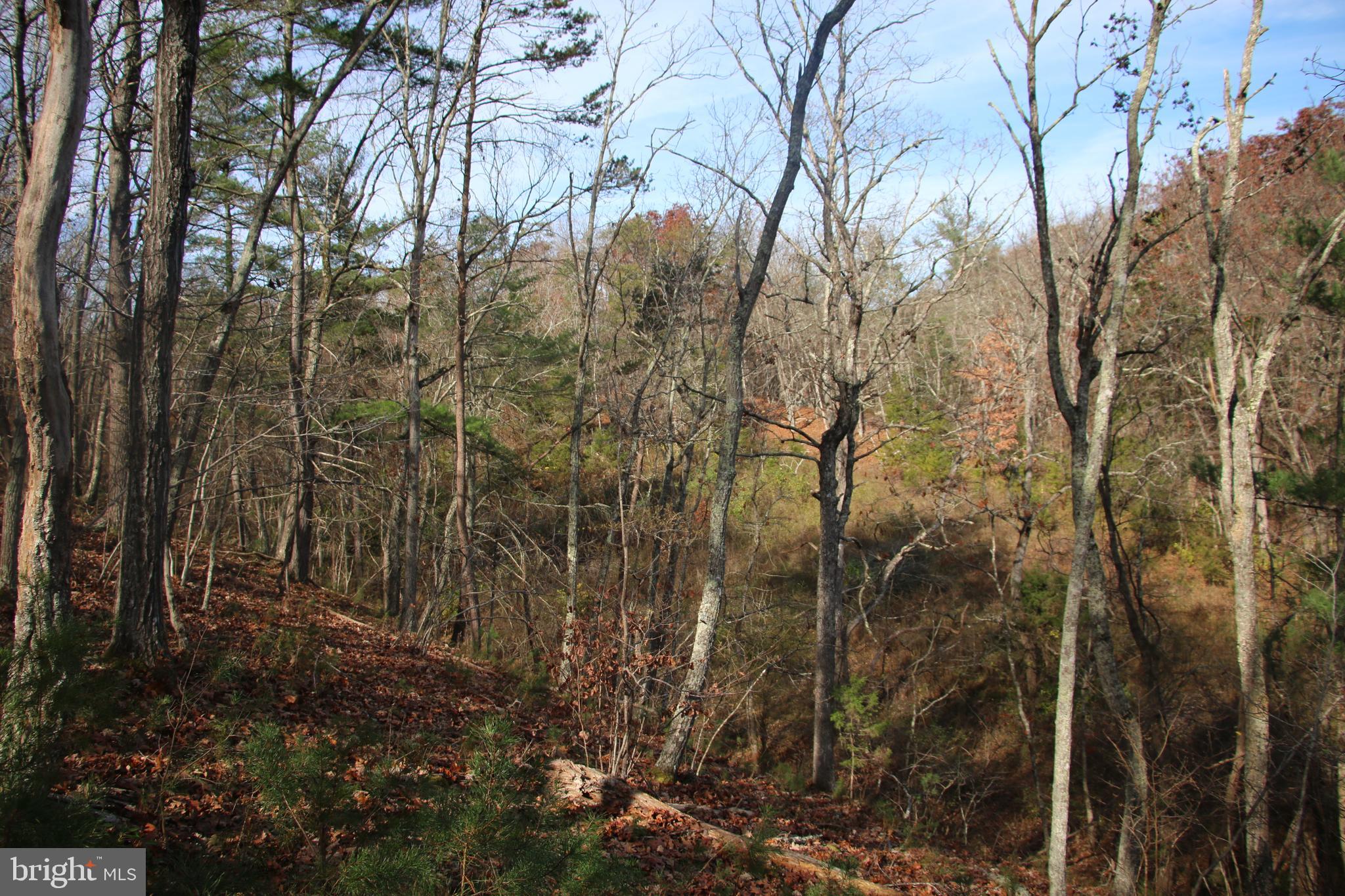 39 D Drive Front Royal, VA 22630 - Photo 18 of 70