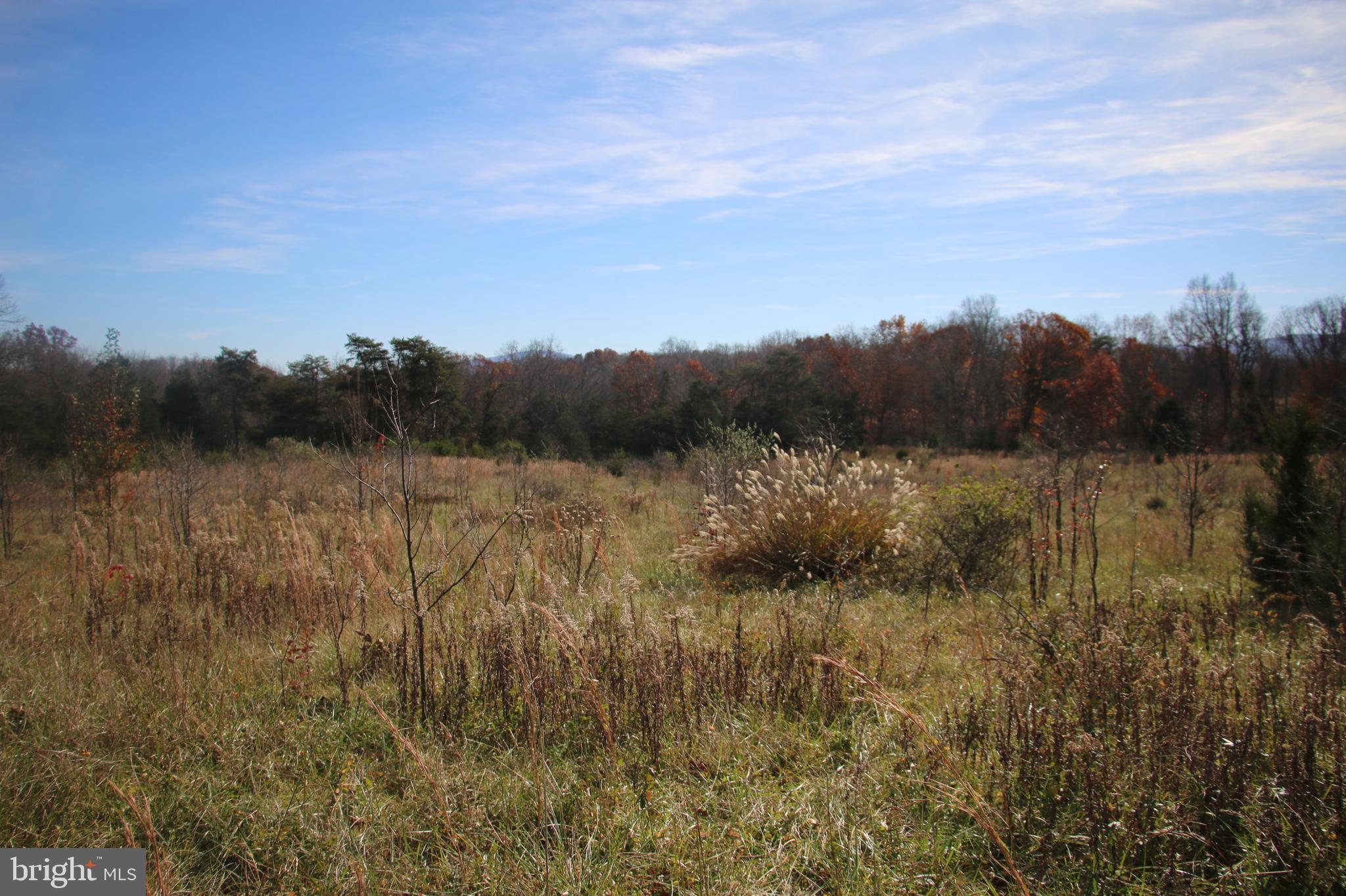 39 D Drive Front Royal, VA 22630 - Photo 20 of 70