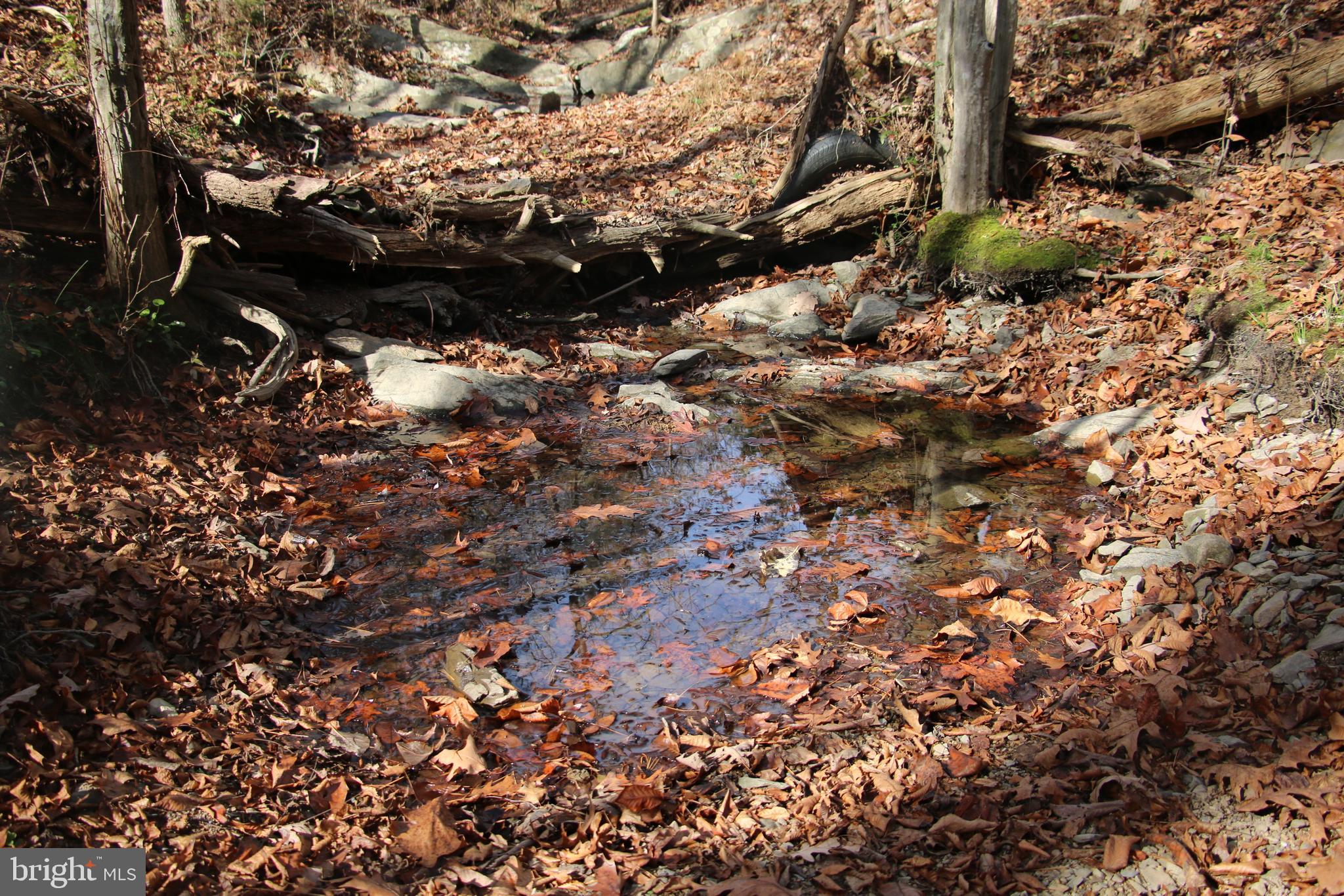 39 D Drive Front Royal, VA 22630 - Photo 2 of 70