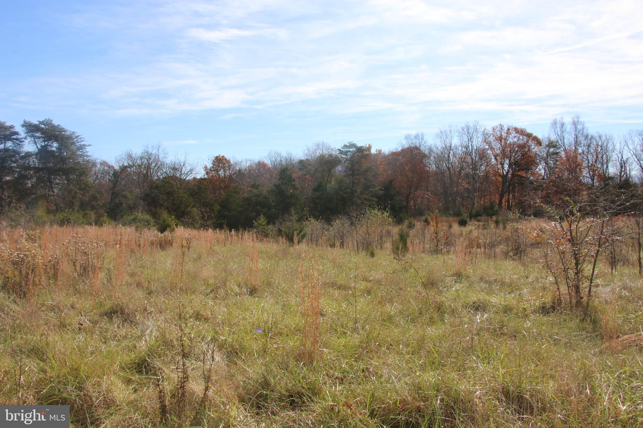 39 D Drive Front Royal, VA 22630 - Photo 22 of 70