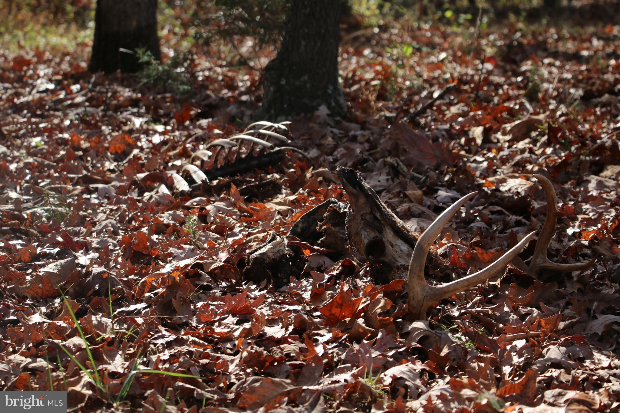 39 D Drive Front Royal, VA 22630 - Photo 23 of 70