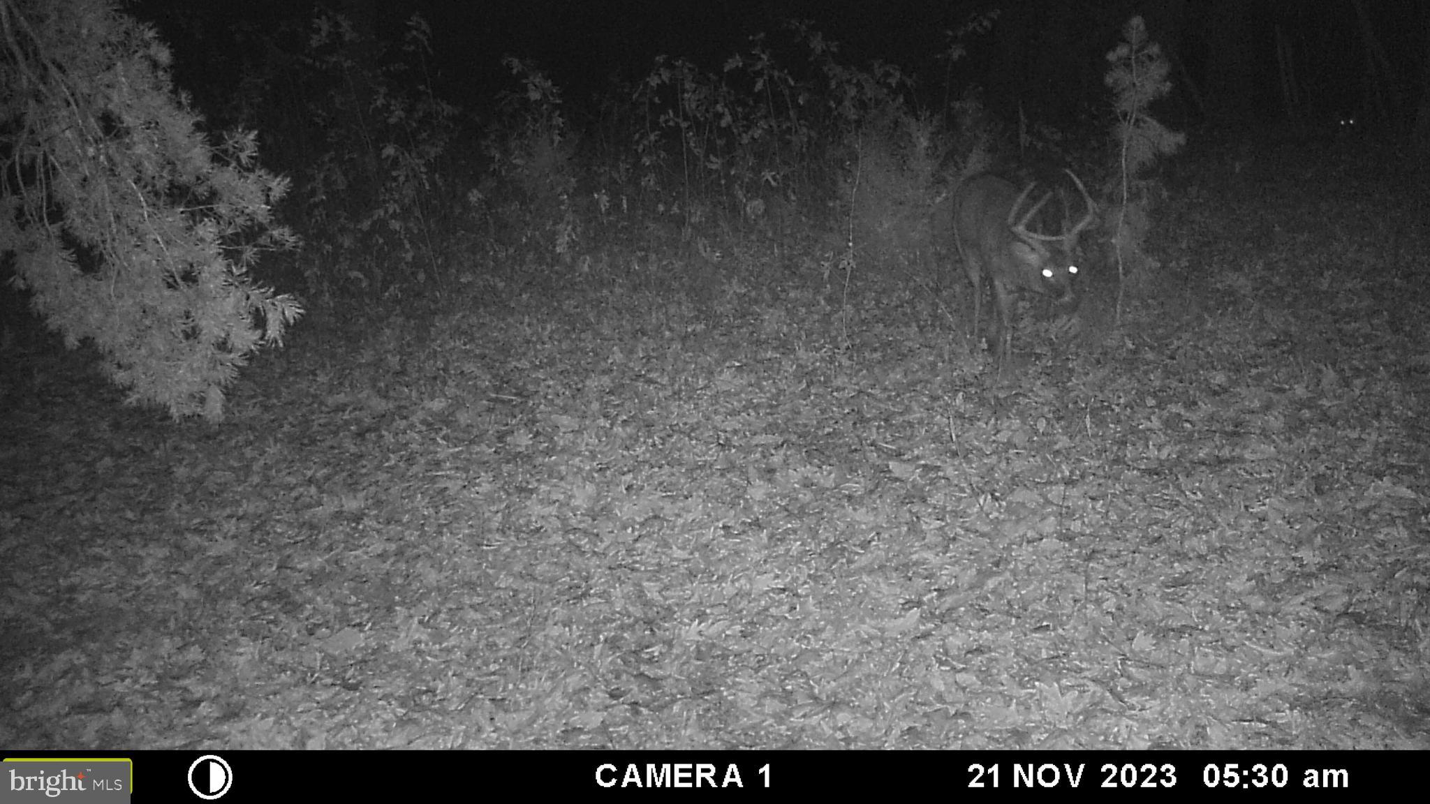 39 D Drive Front Royal, VA 22630 - Photo 39 of 70