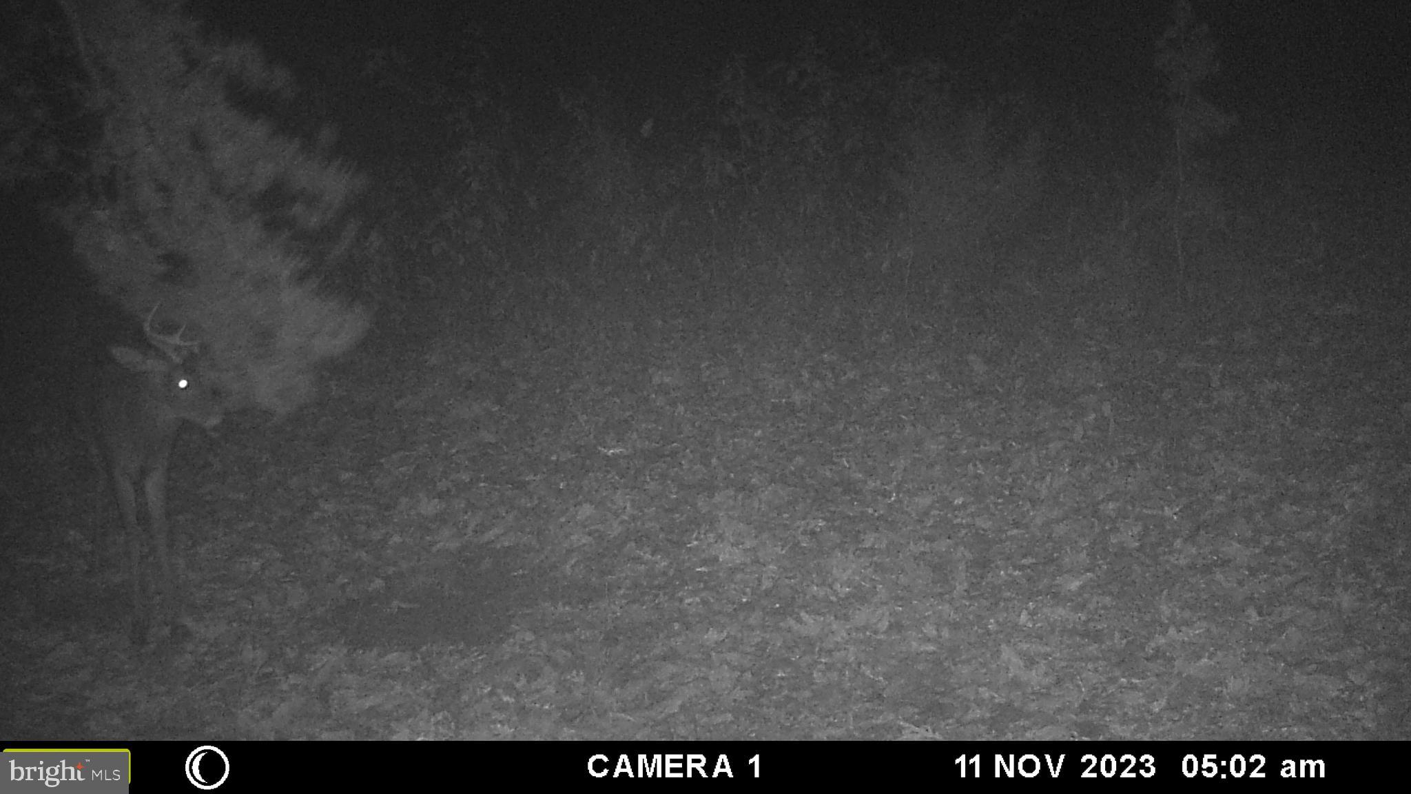 39 D Drive Front Royal, VA 22630 - Photo 44 of 70