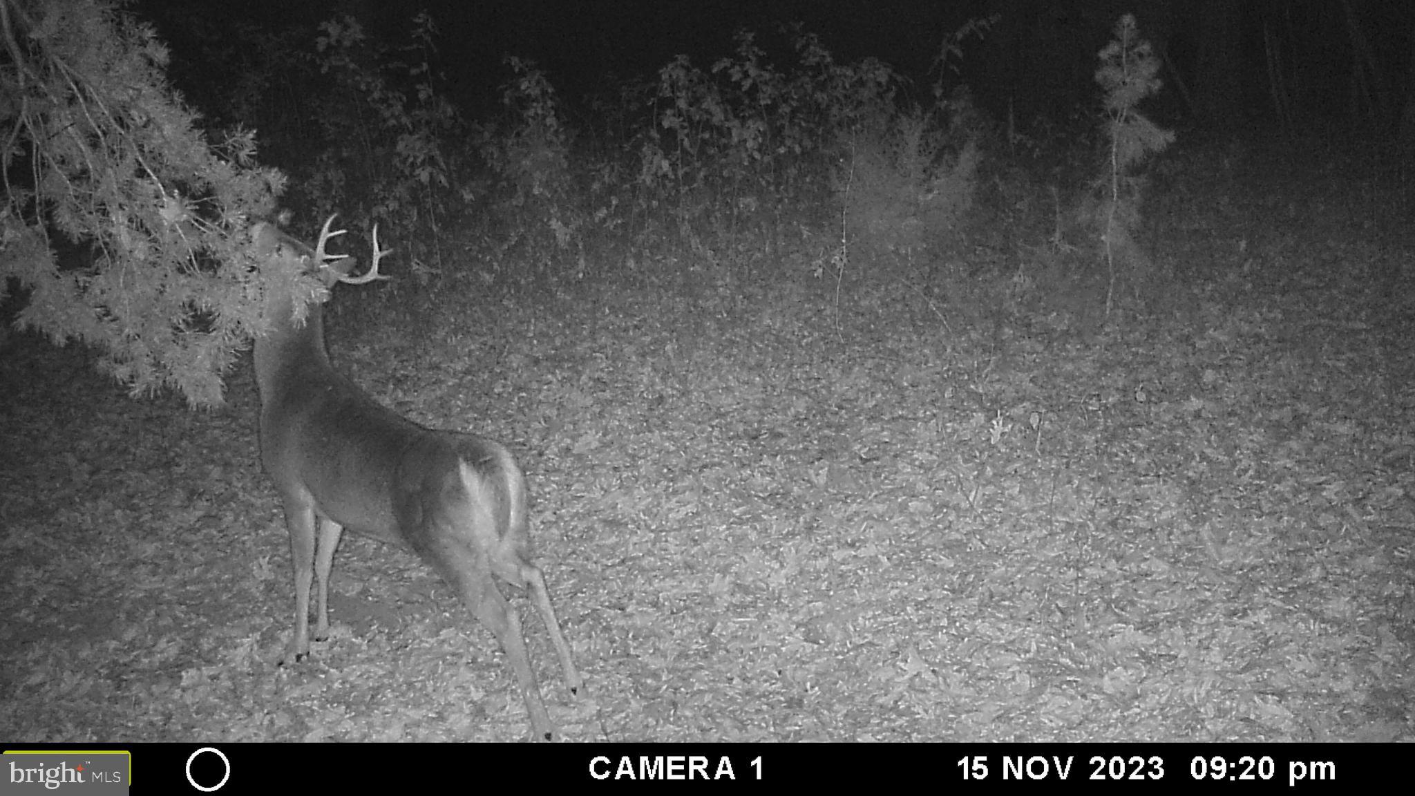 39 D Drive Front Royal, VA 22630 - Photo 51 of 70