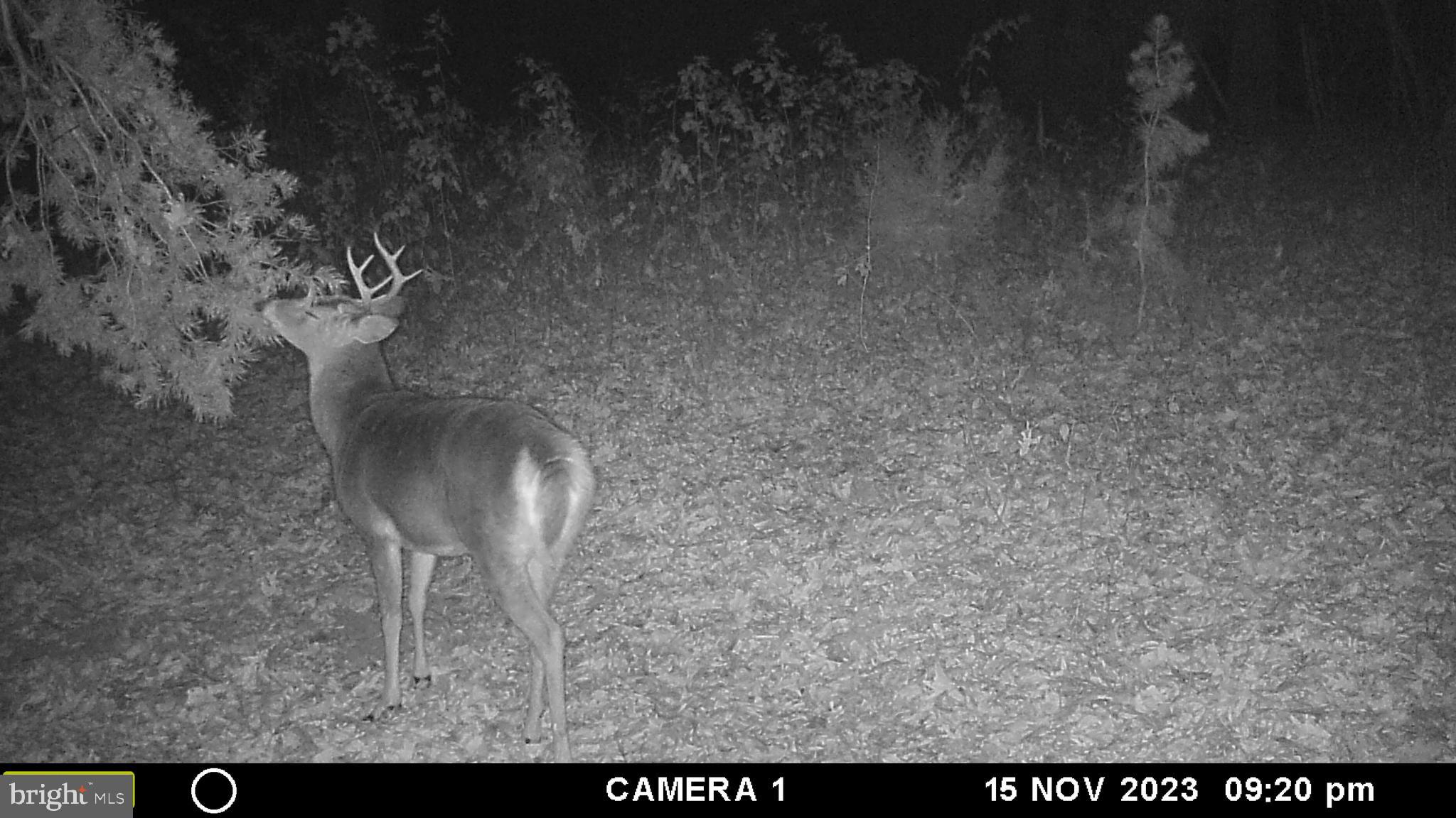 39 D Drive Front Royal, VA 22630 - Photo 52 of 70