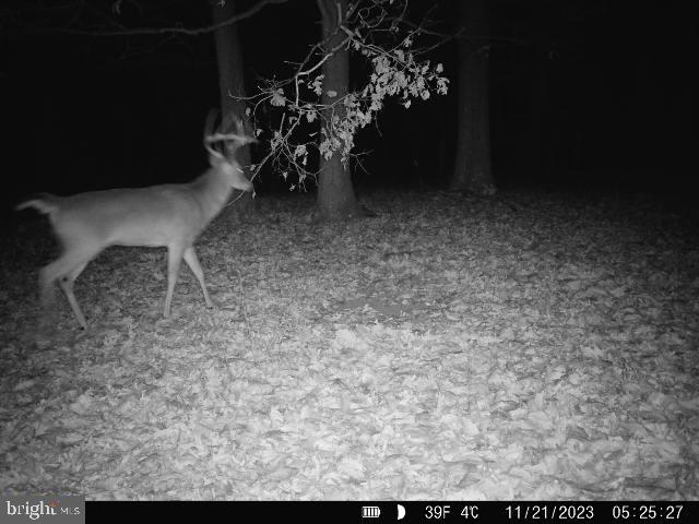 39 D Drive Front Royal, VA 22630 - Photo 54 of 70