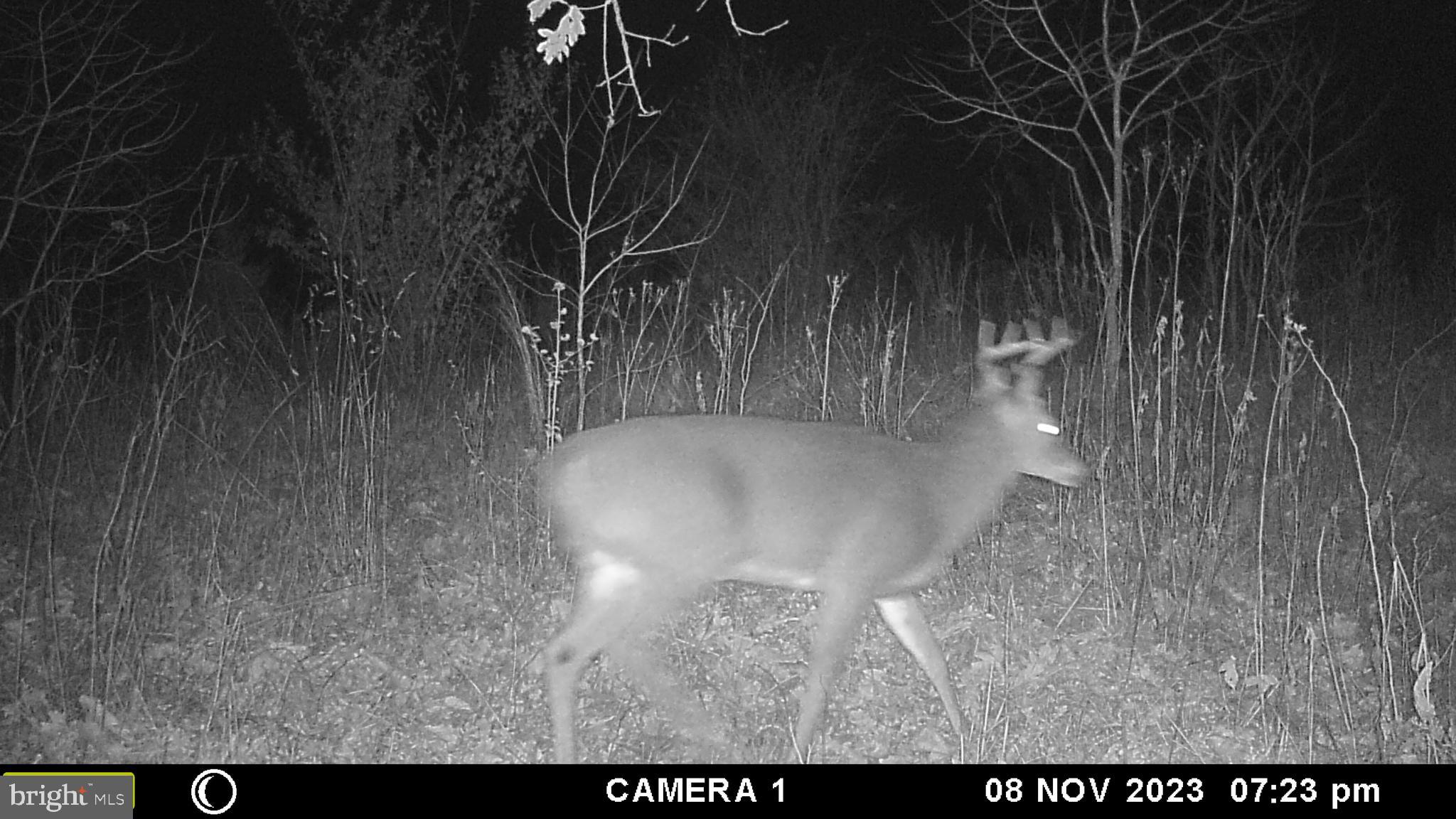 39 D Drive Front Royal, VA 22630 - Photo 57 of 70