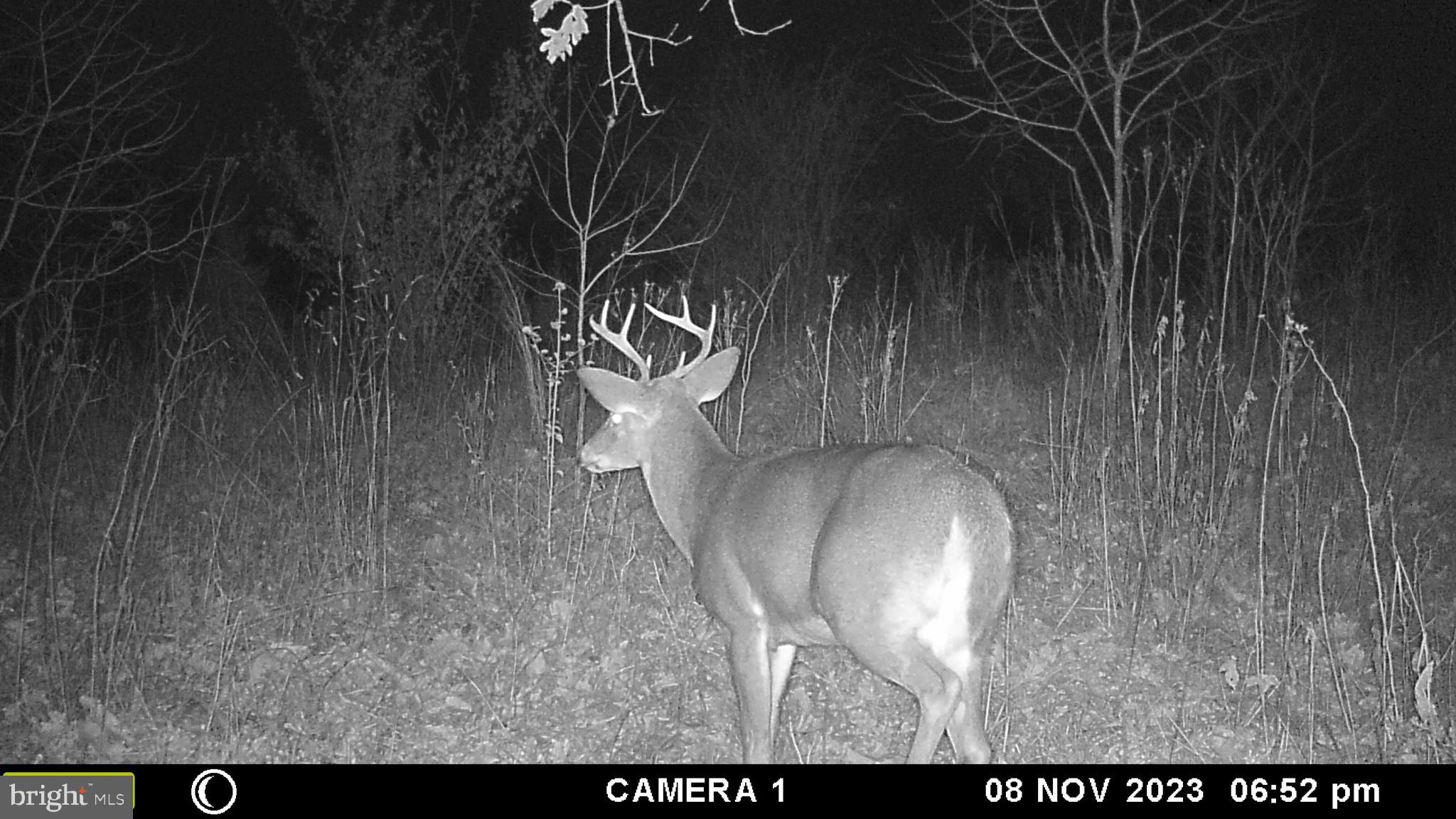 39 D Drive Front Royal, VA 22630 - Photo 59 of 70