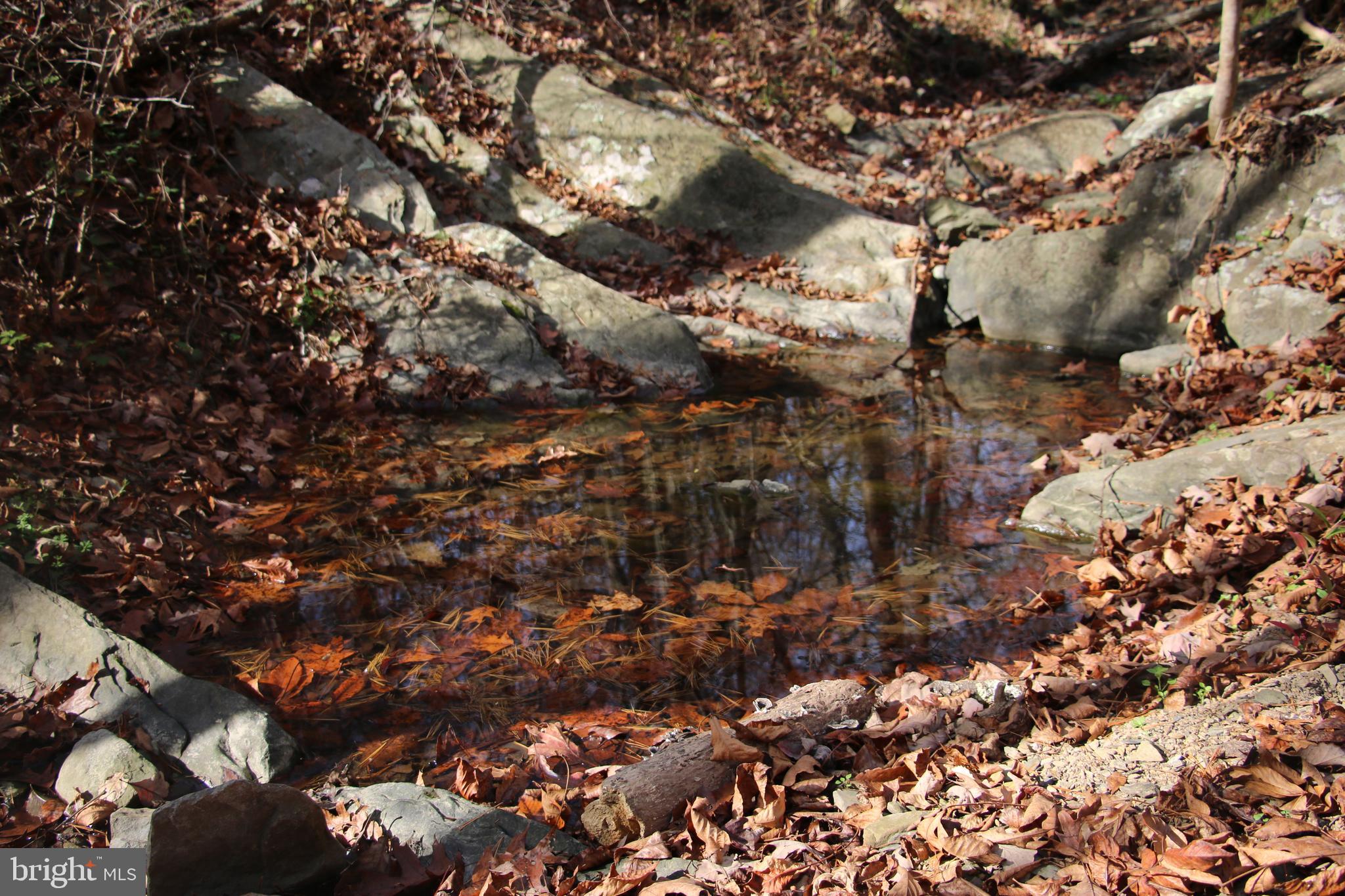 39 D Drive Front Royal, VA 22630 - Photo 6 of 70