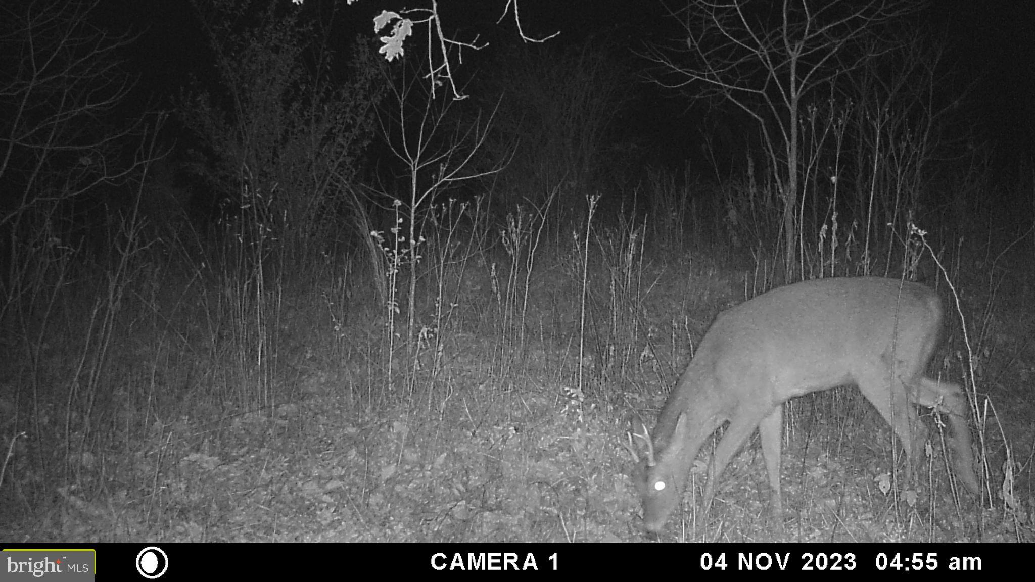 39 D Drive Front Royal, VA 22630 - Photo 63 of 70