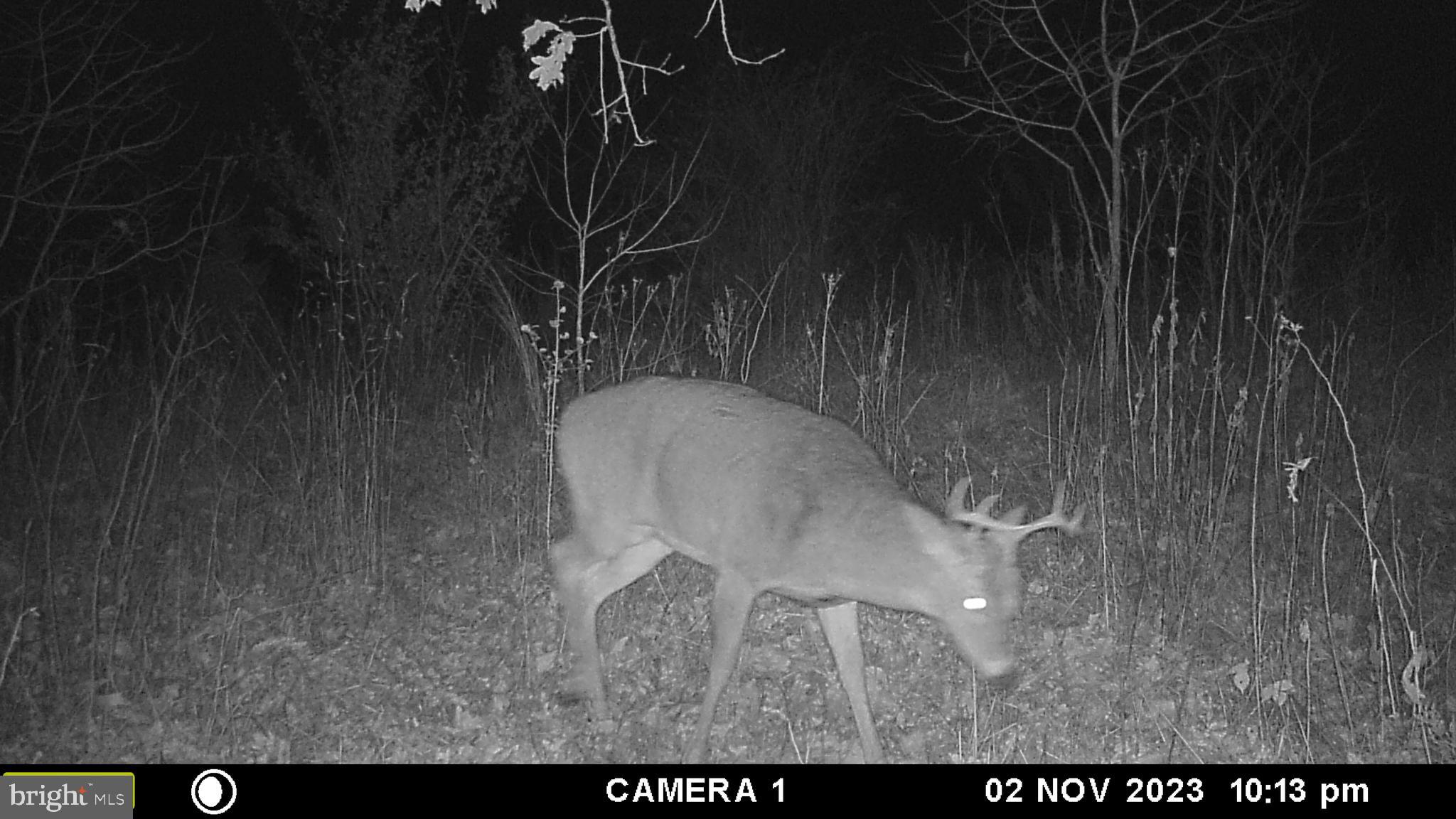 39 D Drive Front Royal, VA 22630 - Photo 66 of 70