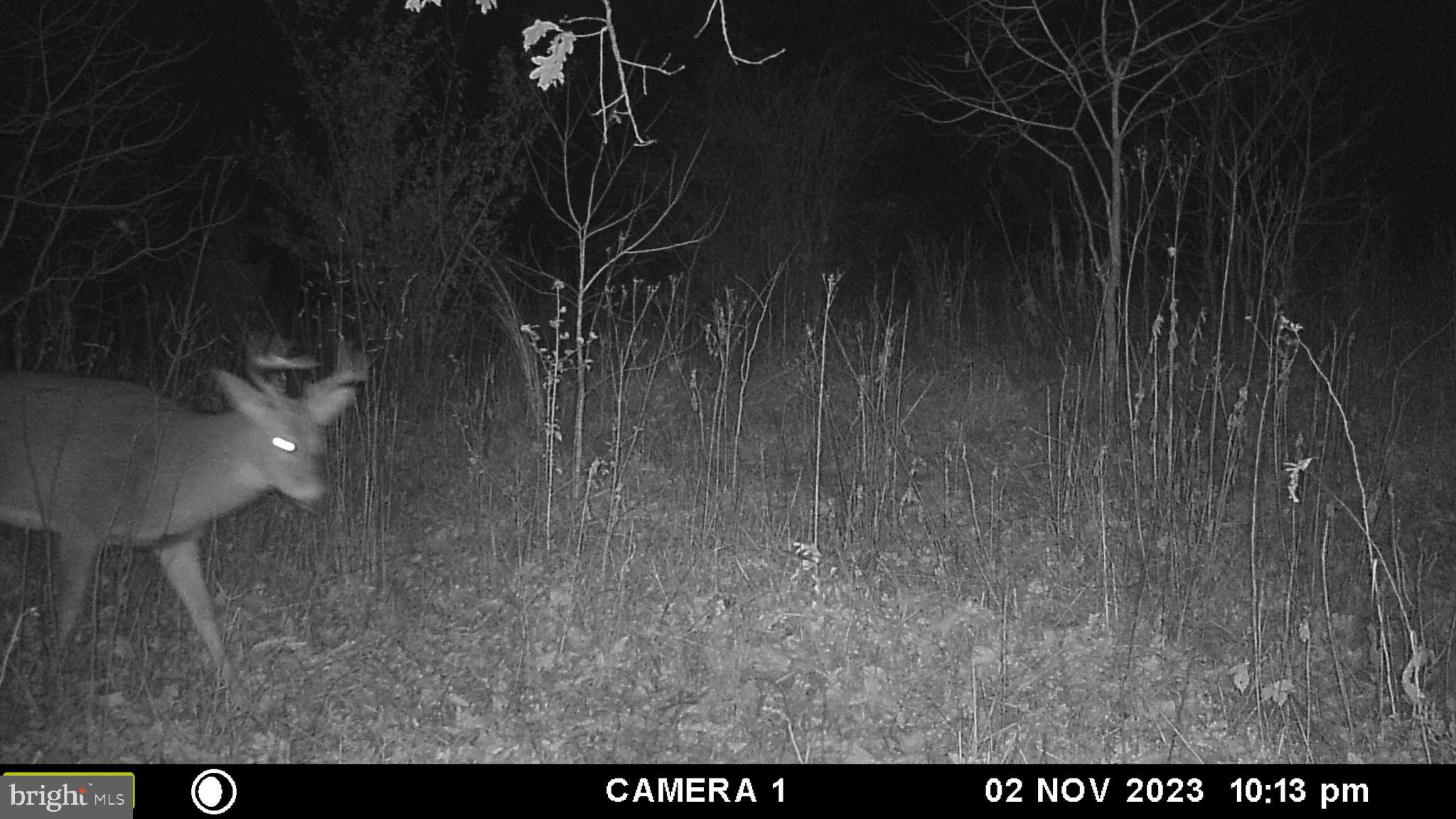 39 D Drive Front Royal, VA 22630 - Photo 67 of 70