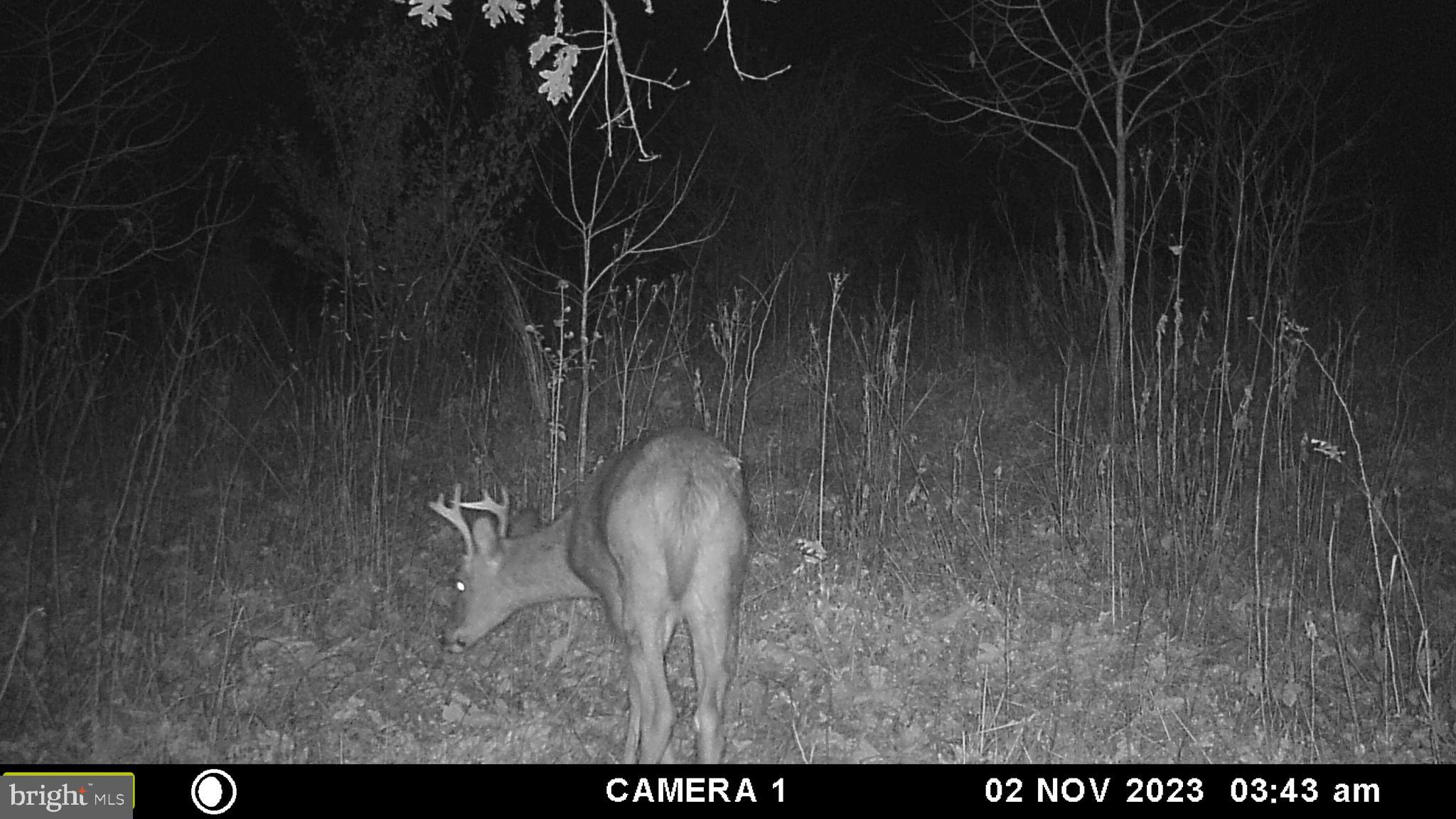 39 D Drive Front Royal, VA 22630 - Photo 69 of 70