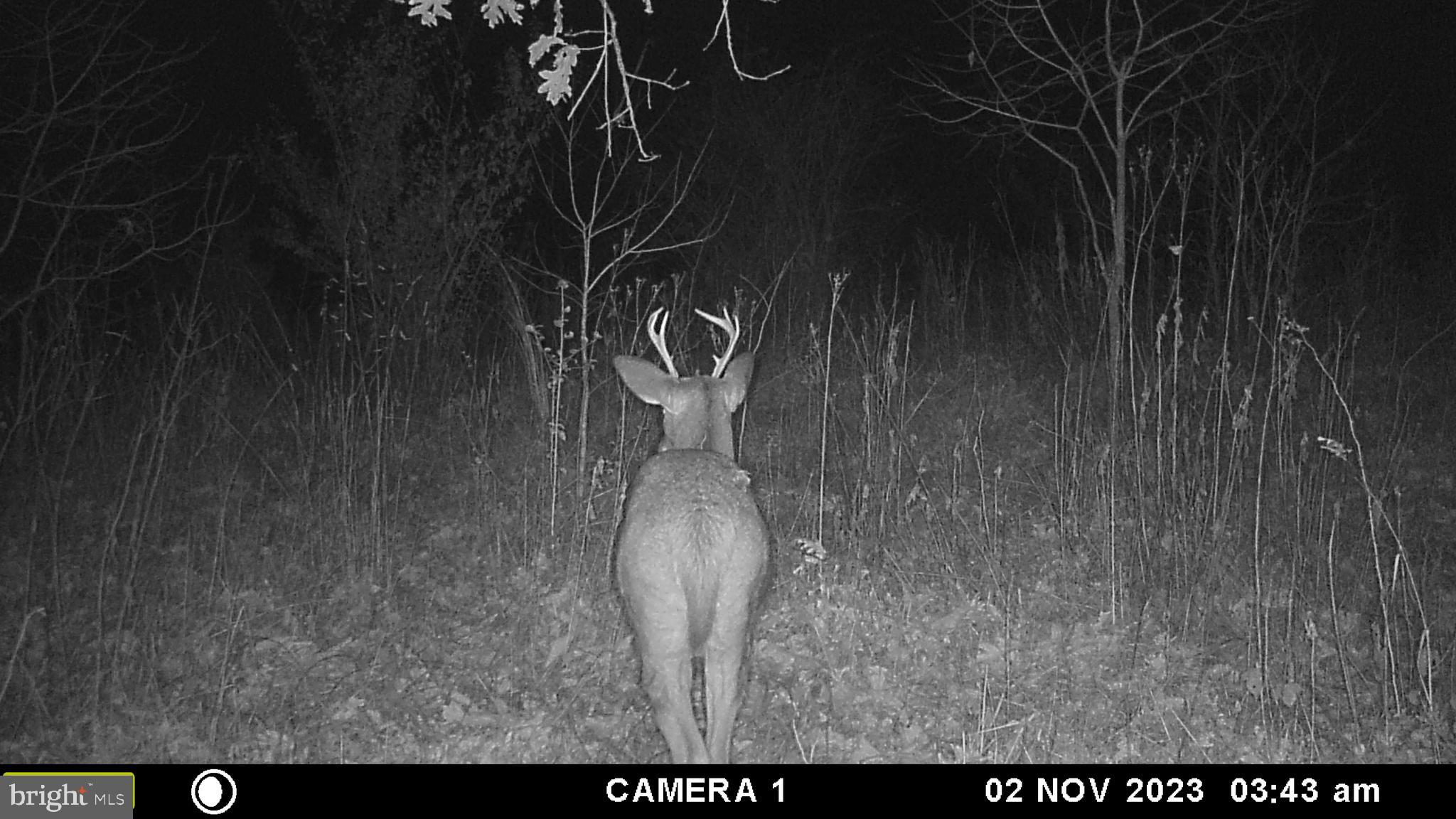 39 D Drive Front Royal, VA 22630 - Photo 70 of 70