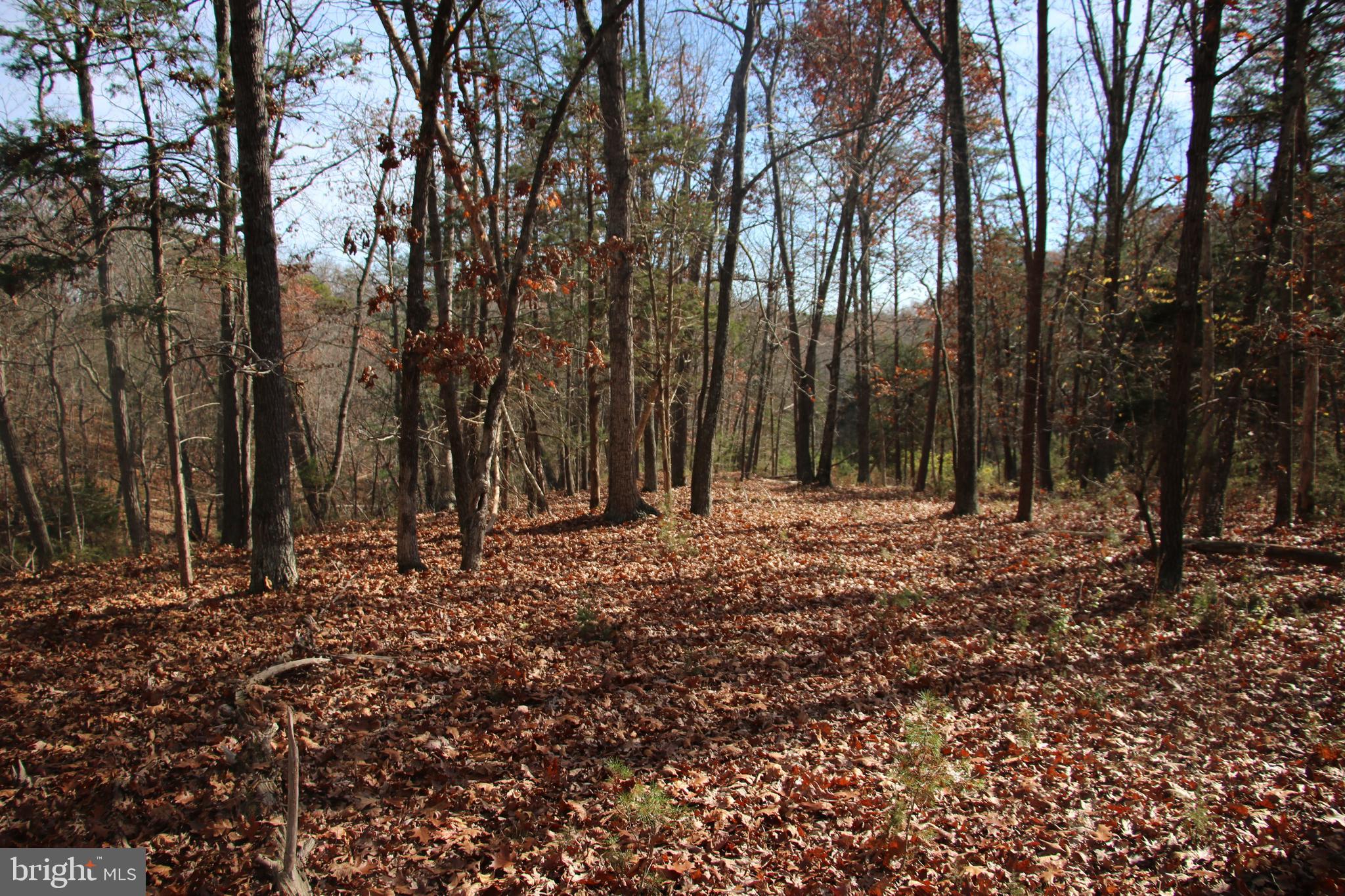 39 D Drive Front Royal, VA 22630 - Photo 7 of 70