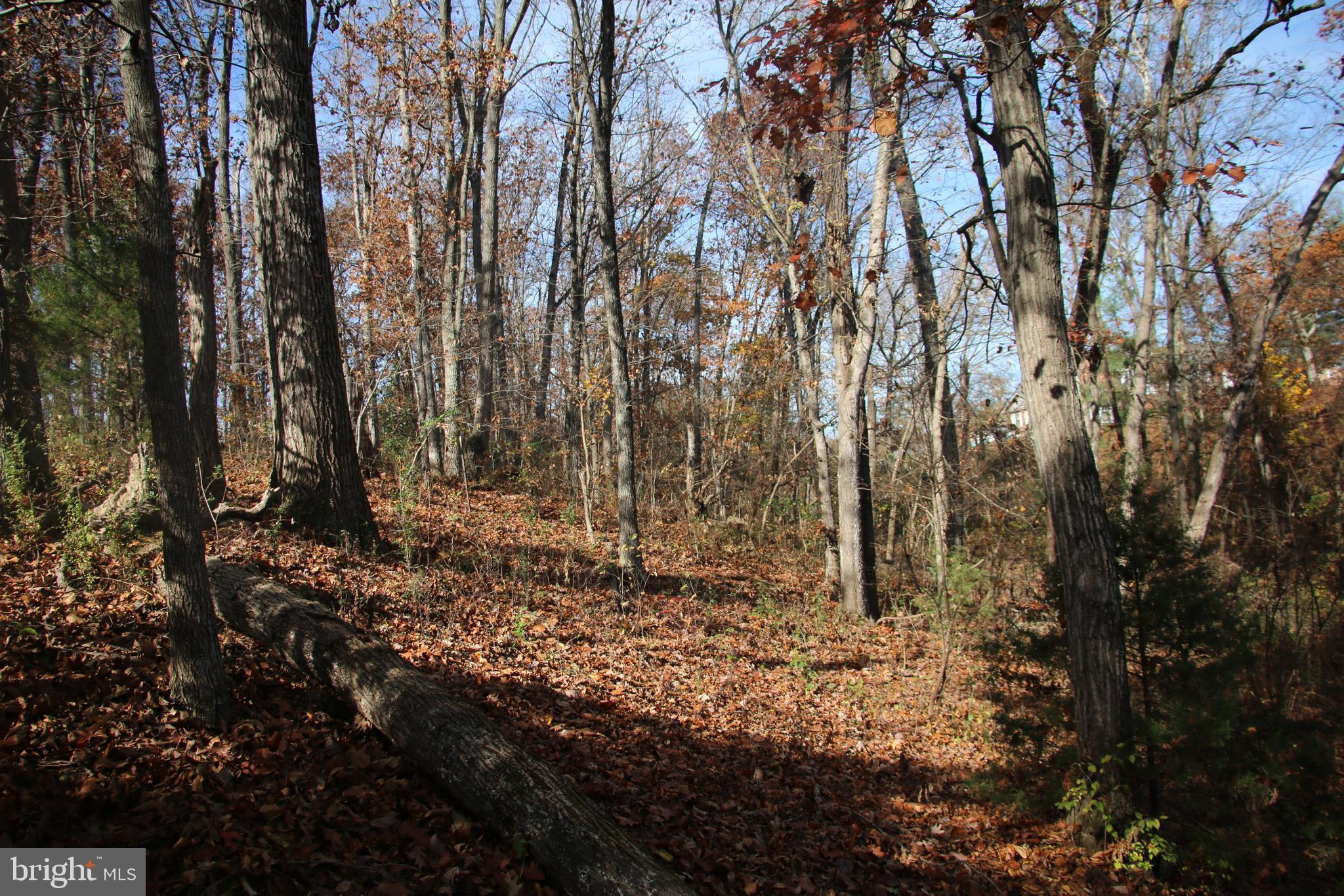 39 D Drive Front Royal, VA 22630 - Photo 9 of 70