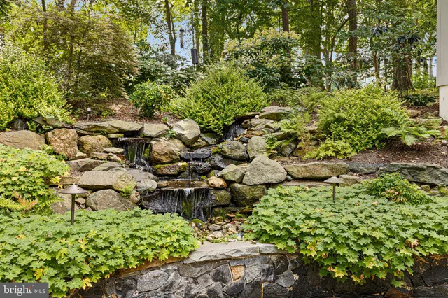 a plant that is in front of a house