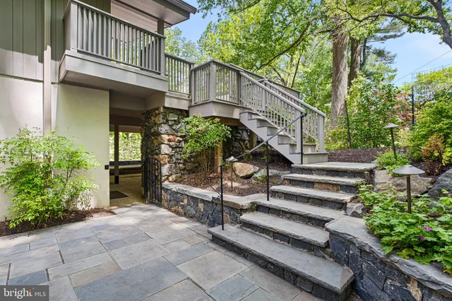a view of a garden with plants