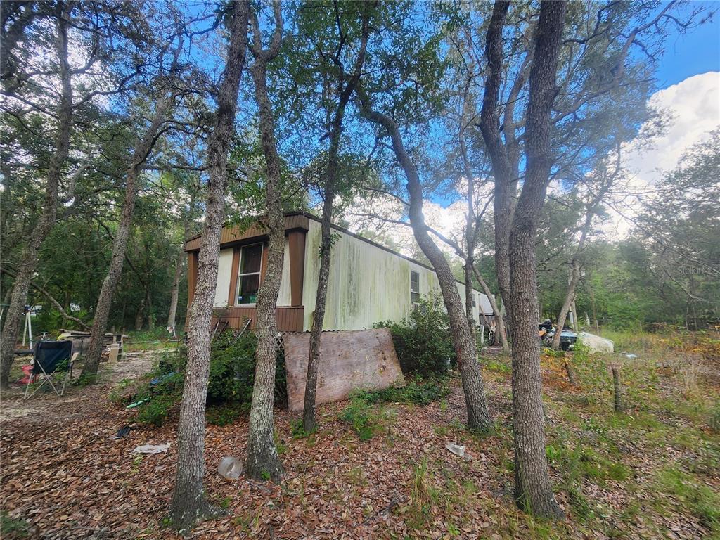 217 Lakeview Road Melrose, FL 32666 - Photo 9 of 23