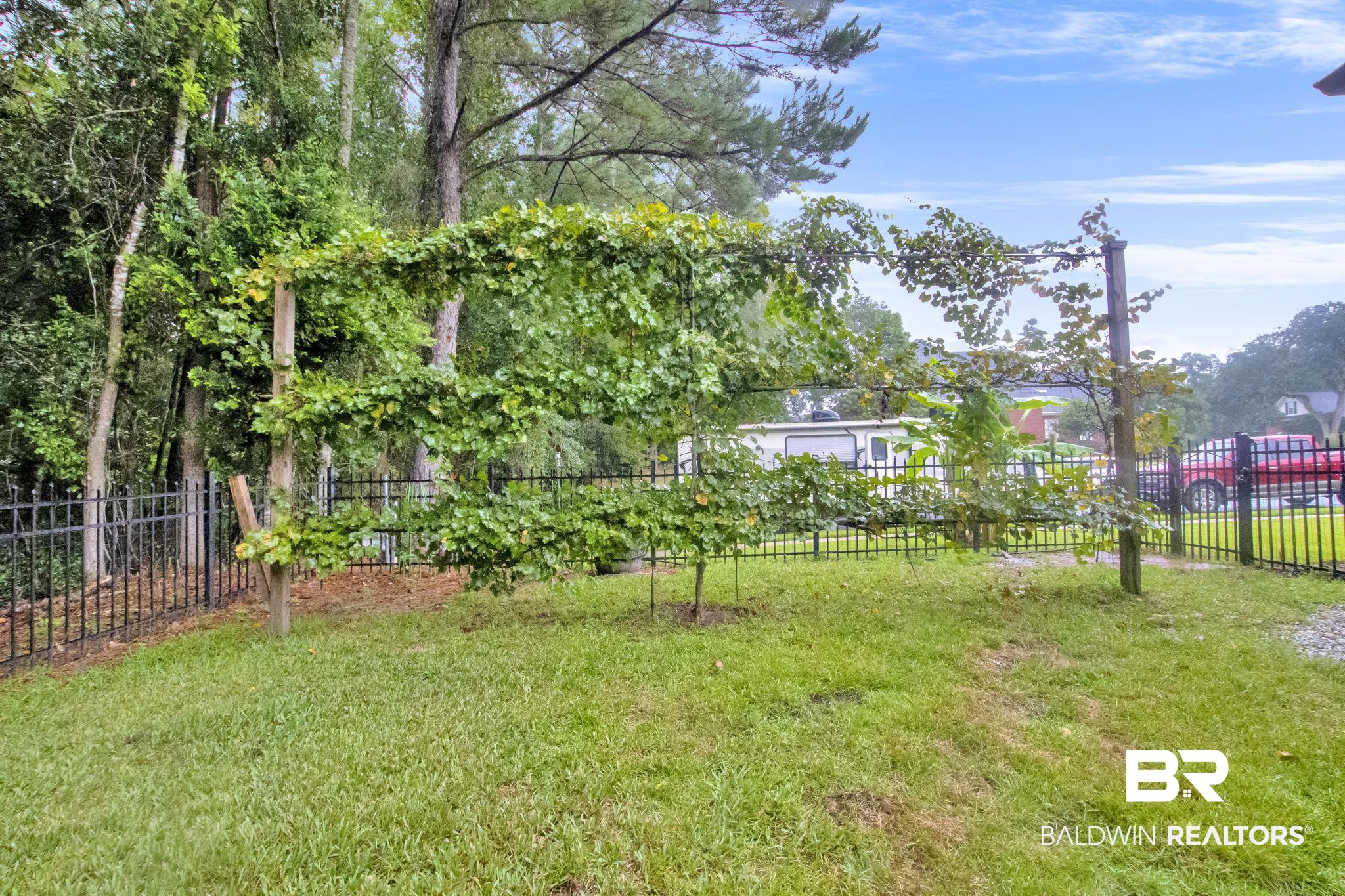1 Bens Bluff Daphne, AL 36527 - Photo 49 of 56 View of yard