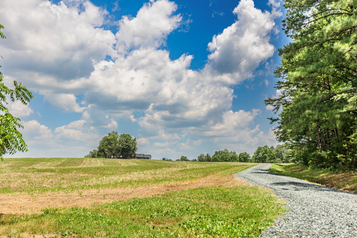 1370 Moonlight Road Appomattox, VA 24522 - Photo 82 of 99