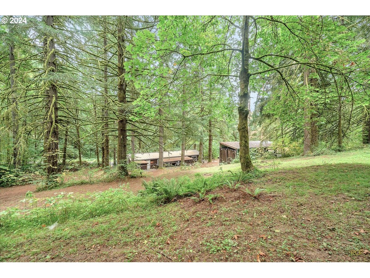 56925 Walker Road Scappoose, OR 97056 - Photo 32 of 40 a view of a yard with large trees