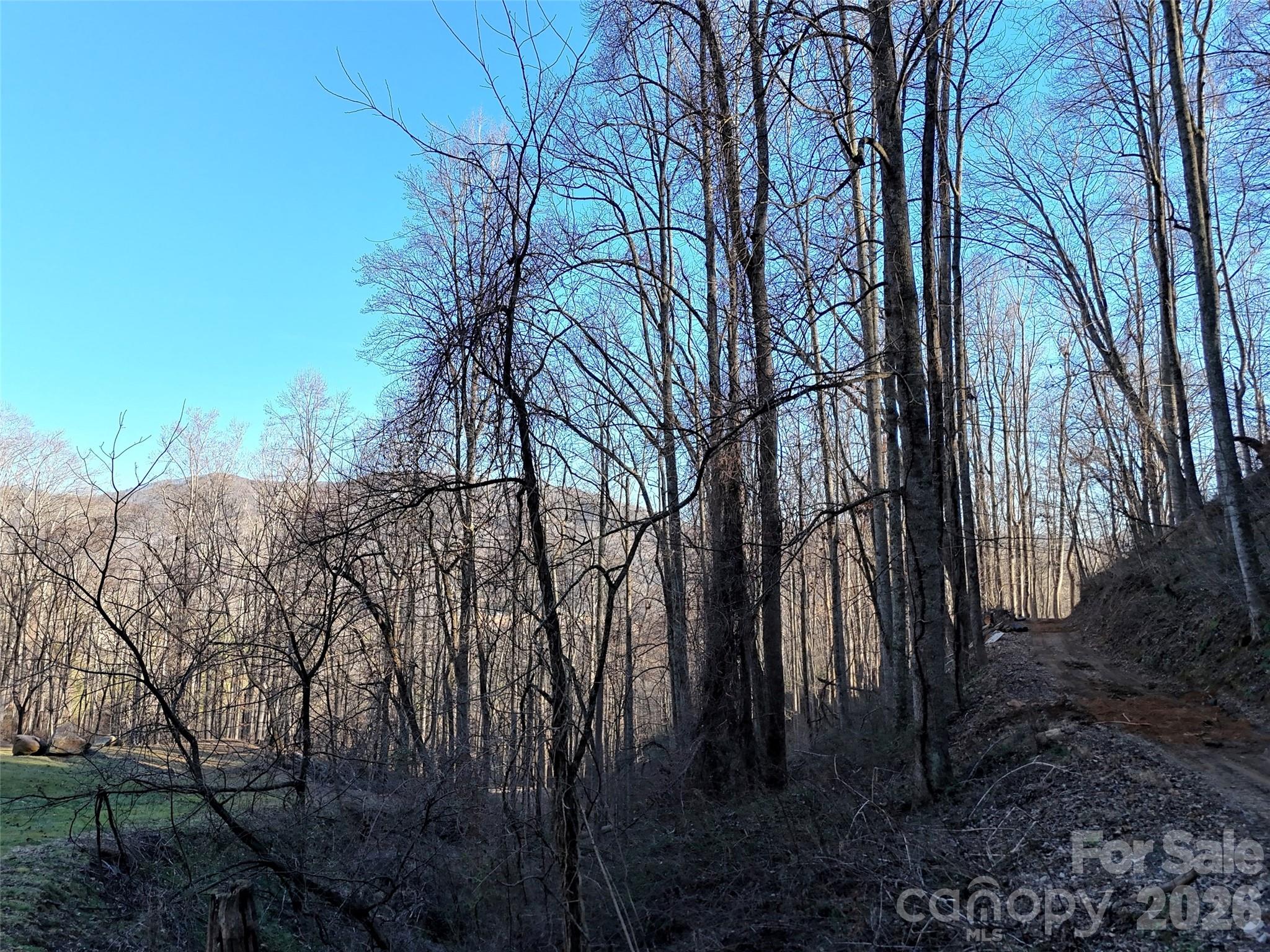 672 Porters Ridge Canton, NC 28716 - Photo 8 of 18