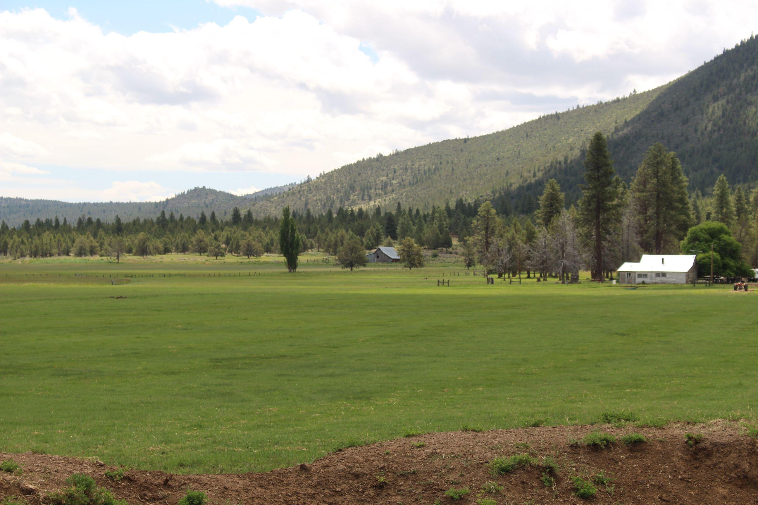 23411 West Langell Valley Road Bonanza, OR 97623 - Photo 1 of 12 a view of grassy field with mountain
