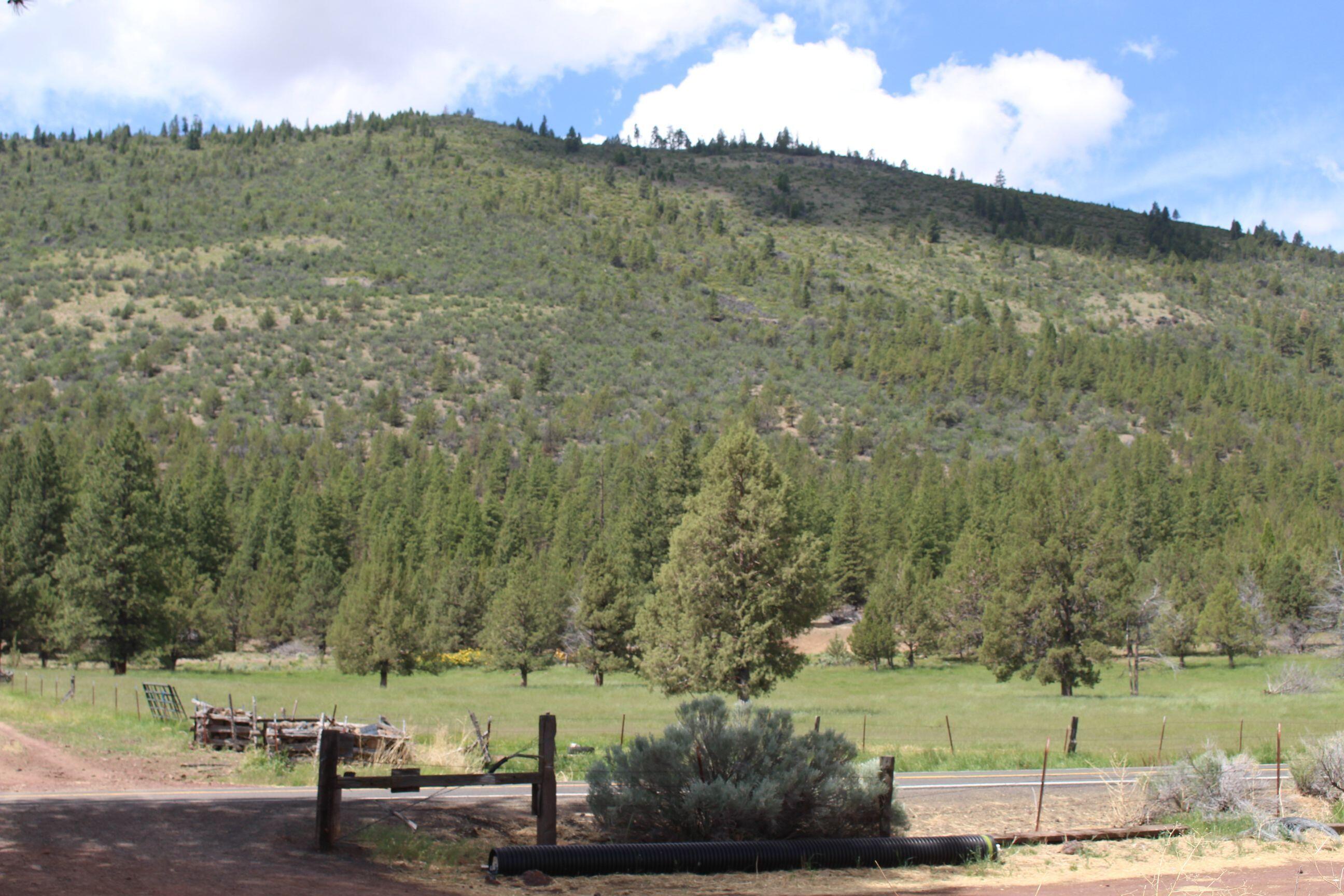 23411 West Langell Valley Road Bonanza, OR 97623 - Photo 9 of 12 a view of a field with an trees