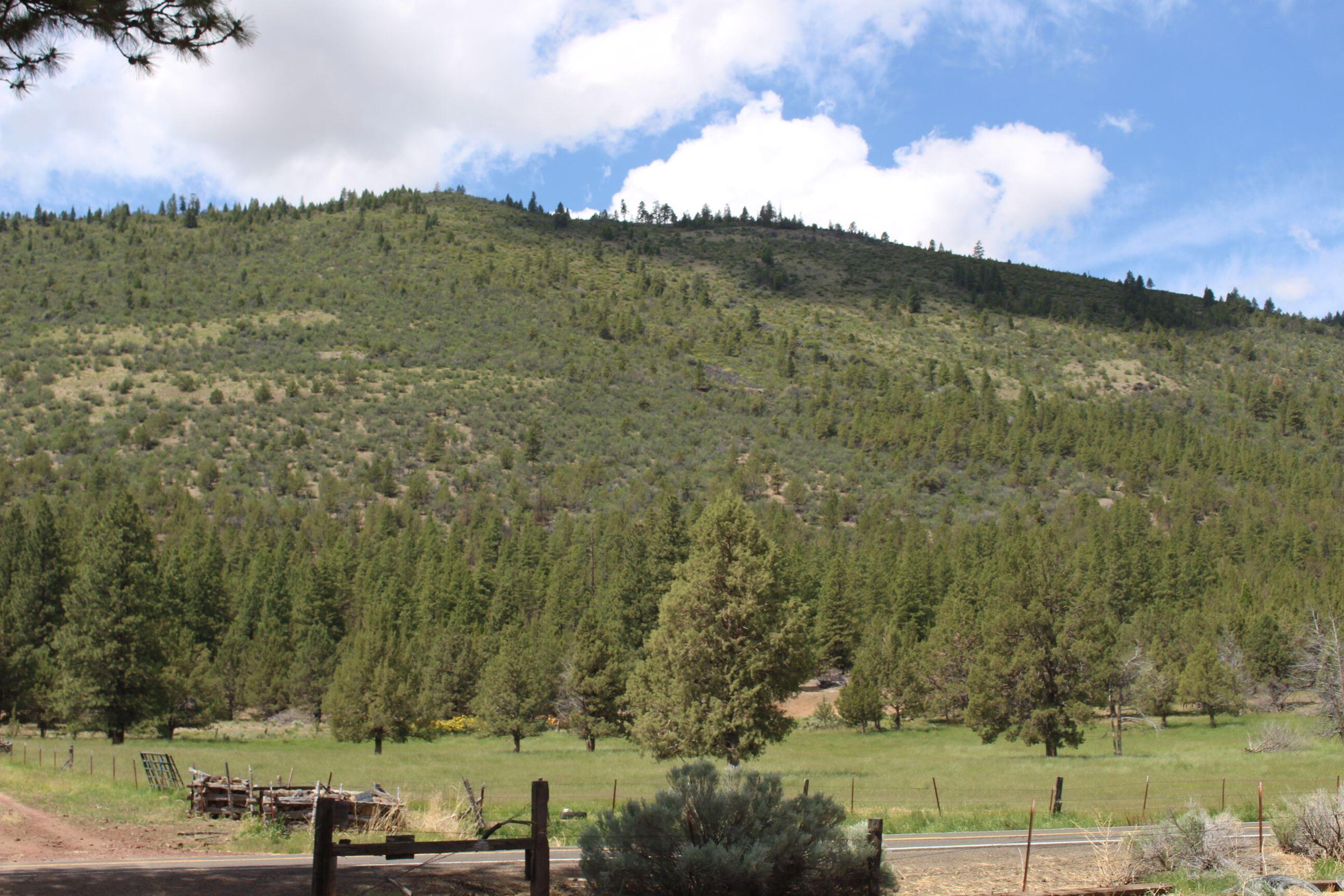 23411 West Langell Valley Road Bonanza, OR 97623 - Photo 10 of 12 a view of a lake with a mountain in the background