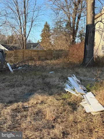 a view of a yard with large trees