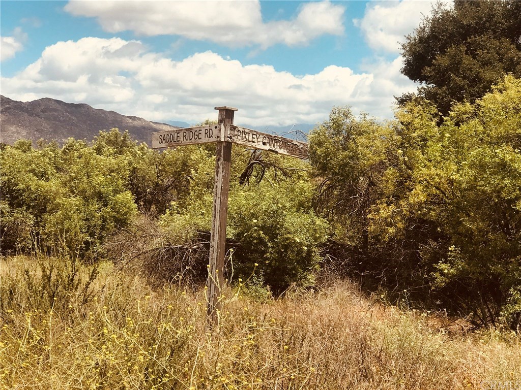 0 Pixley Canyon Road Hemet, CA 92544 - Photo 9 of 10 Gallery Image 9