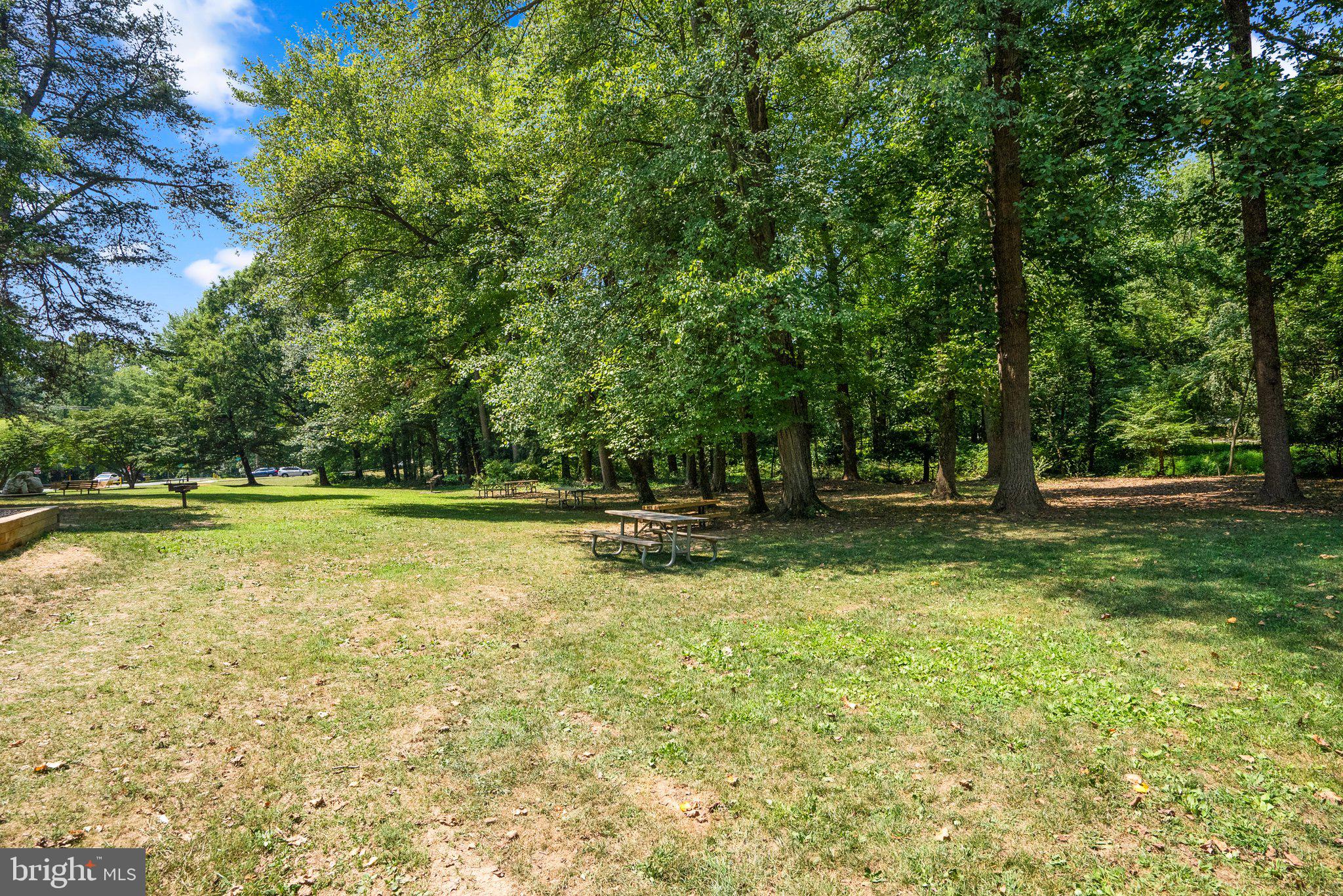 911 Kerwin Road Silver Spring, MD 20901 - Photo 45 of 54 Sligo Creek Park