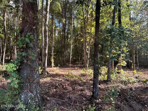 $159,900 | 4 Pleasant Hill Road, Ten Mile, TN 37880