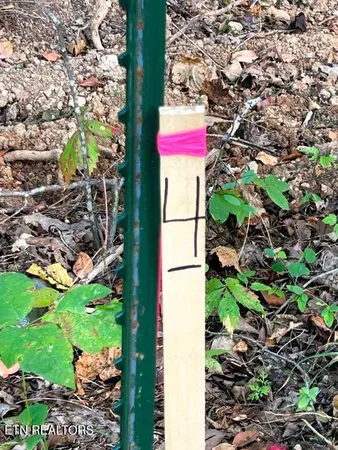 $159,900 | 4 Pleasant Hill Road, Ten Mile, TN 37880