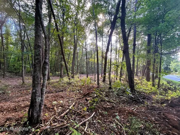 $159,900 | 4 Pleasant Hill Road, Ten Mile, TN 37880