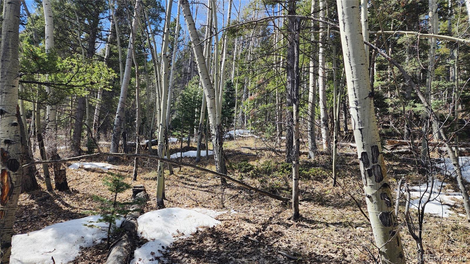 Lot 6318 Geofsmith Road San Luis, CO 81152 - Photo 3 of 22 Gallery Image 3