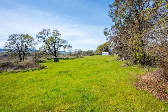 a view of yard with green space and trees