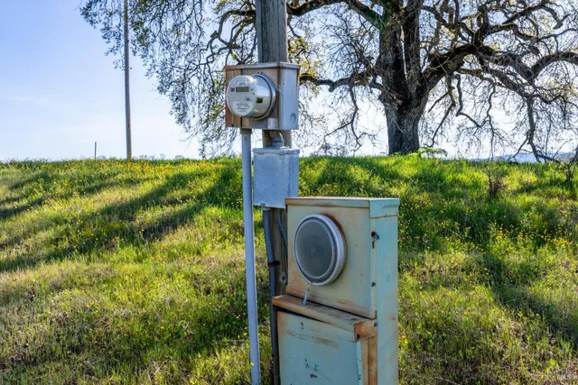 a front view of a house with garden and tree
