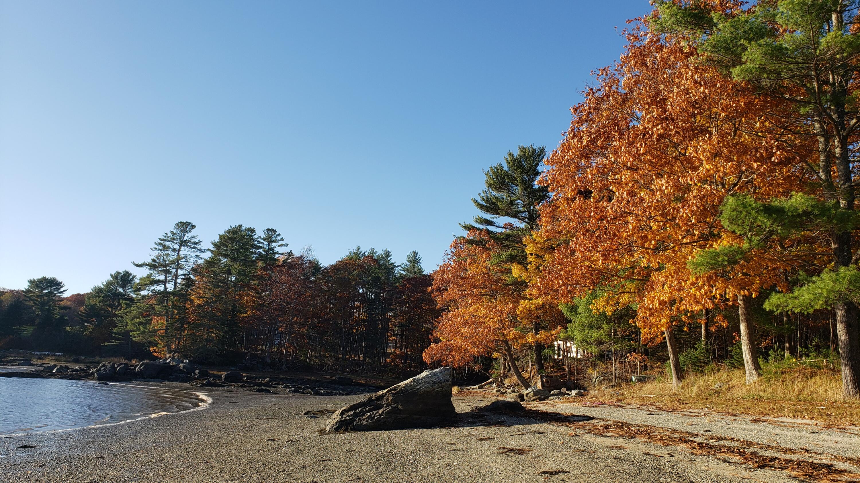 1118 Surry Road Surry, ME 04684 - Photo 15 of 33 20221021_161356